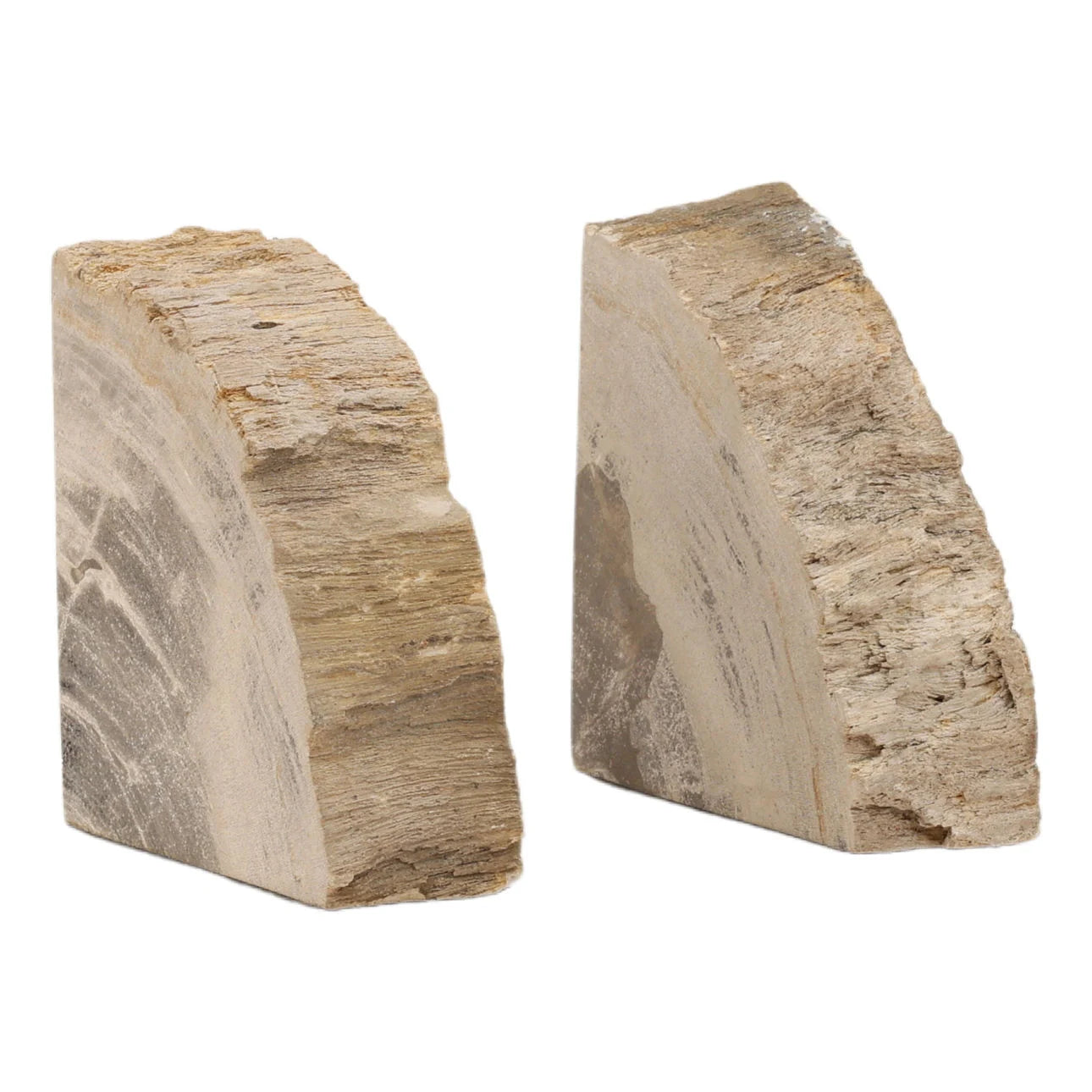 Two petrified wood bookends on a white background