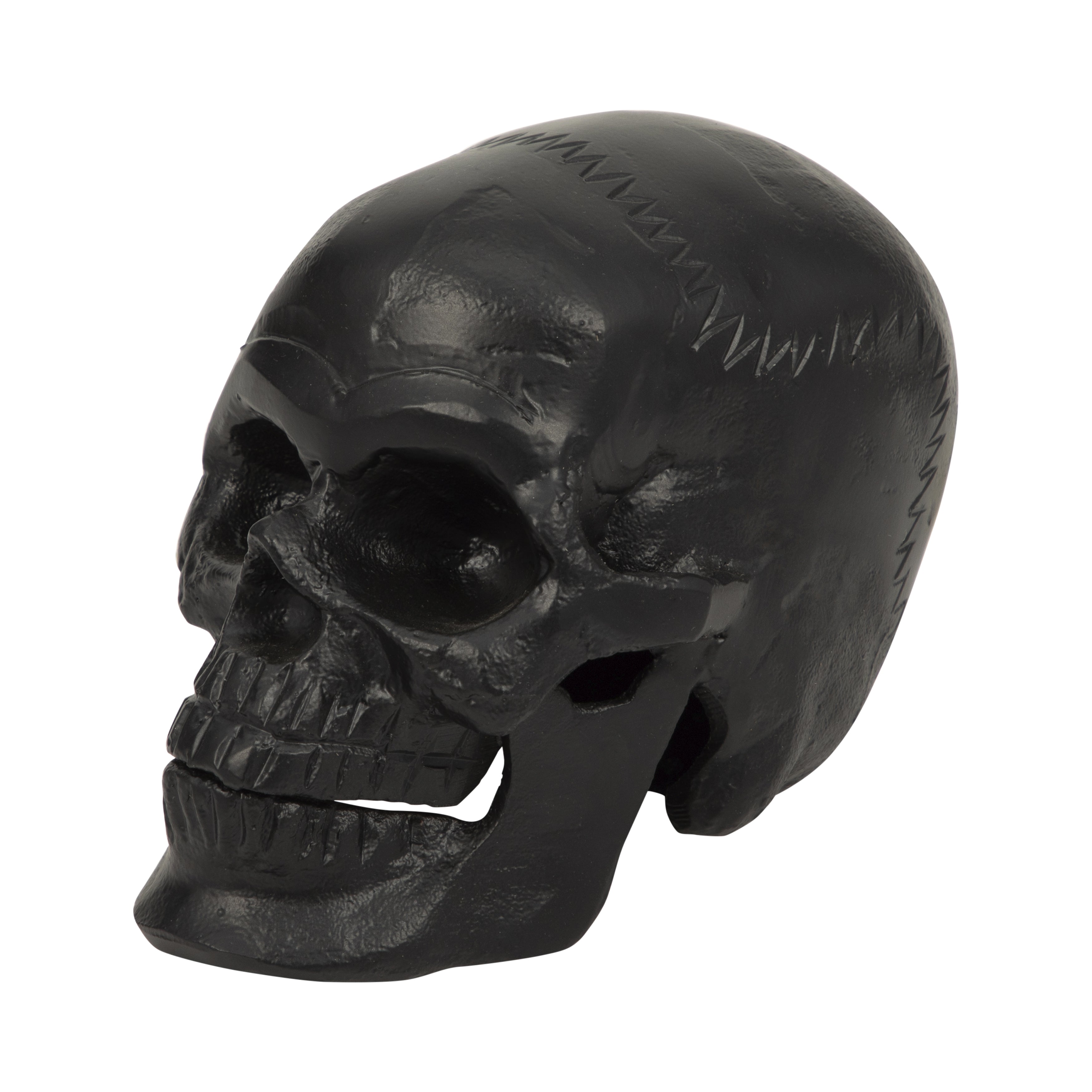 Seloria Skull