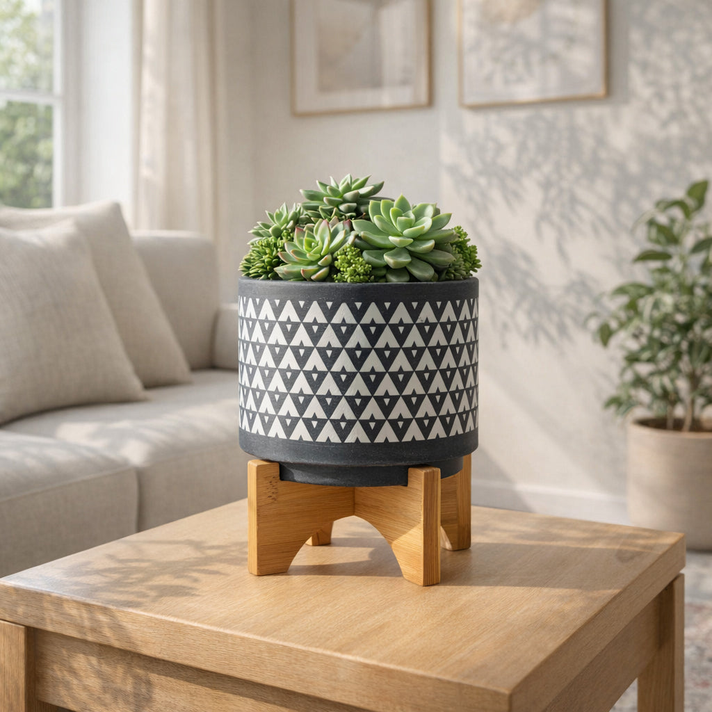 Potted succulents on a wooden stand in a living room setting