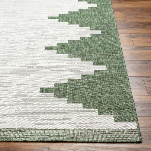 Green and white patterned rug on a wooden floor