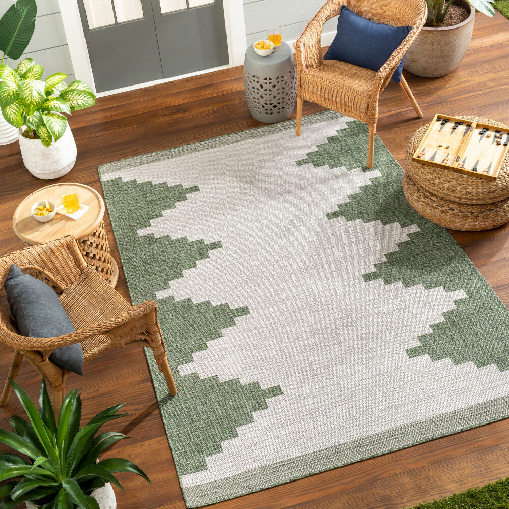 Patterned rug on a wooden floor with chairs and plants