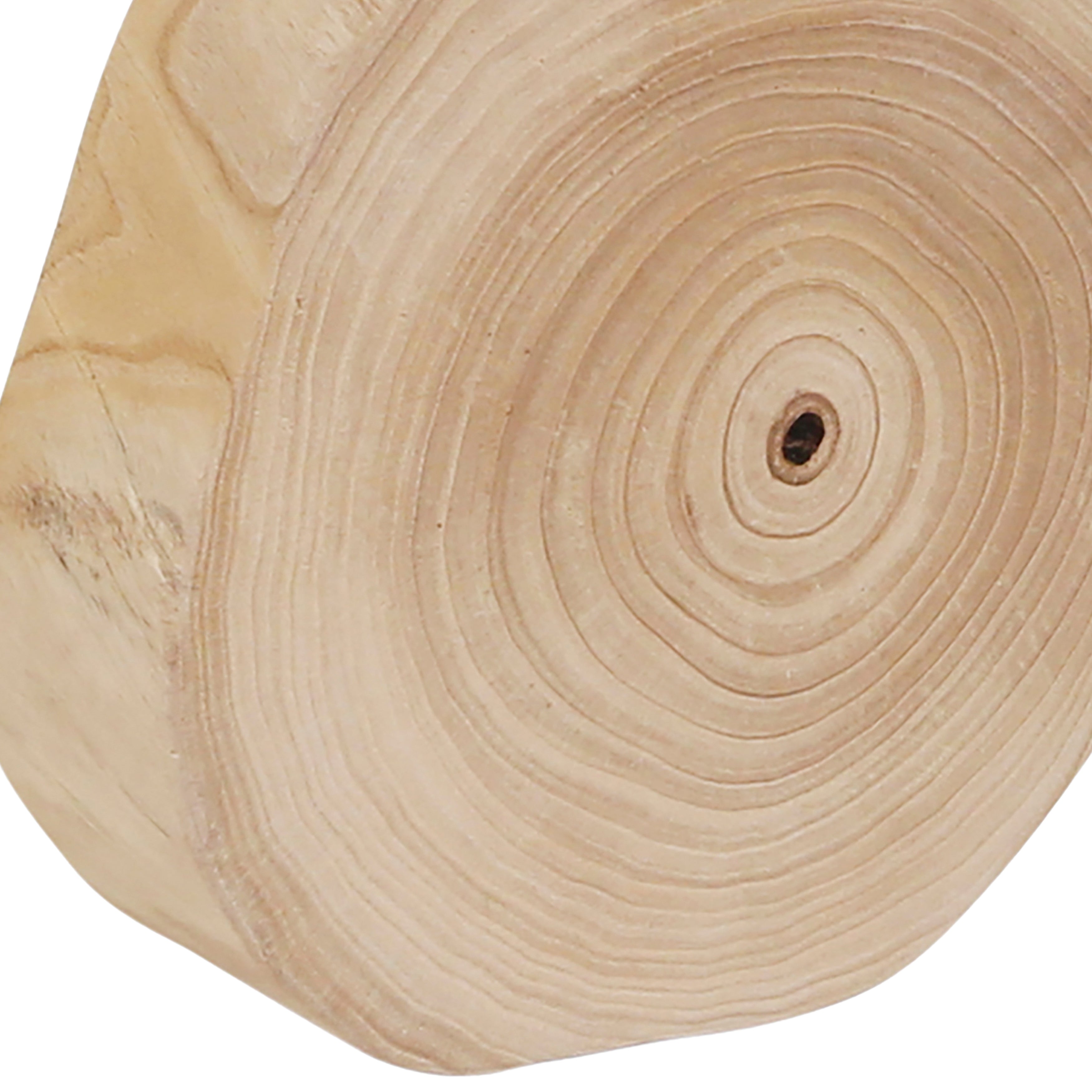 Close-up of a wooden log with visible growth rings on a white background