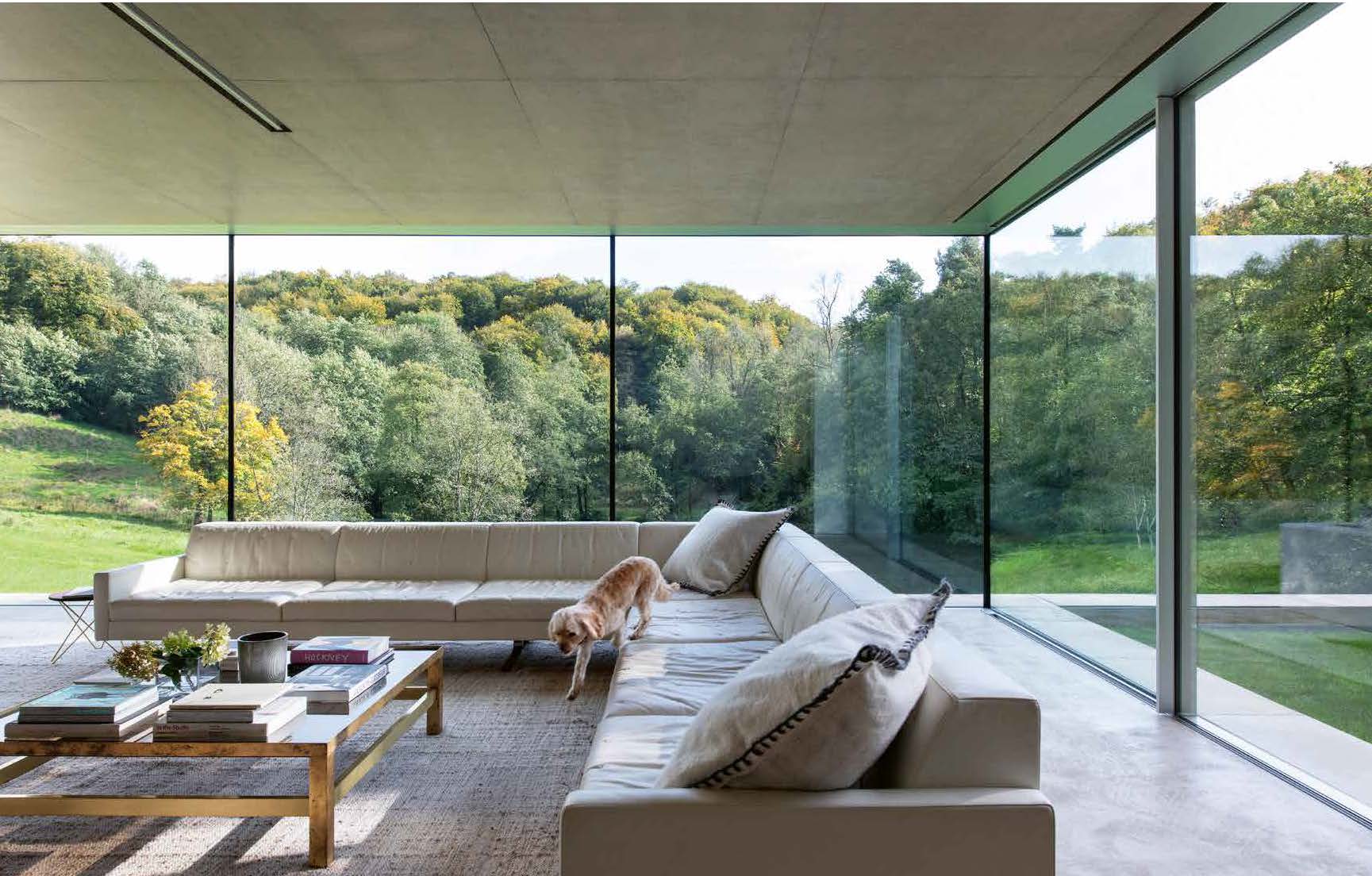 Modern living room with a large sectional sofa and a dog, surrounded by large windows with a view of greenery outside.
