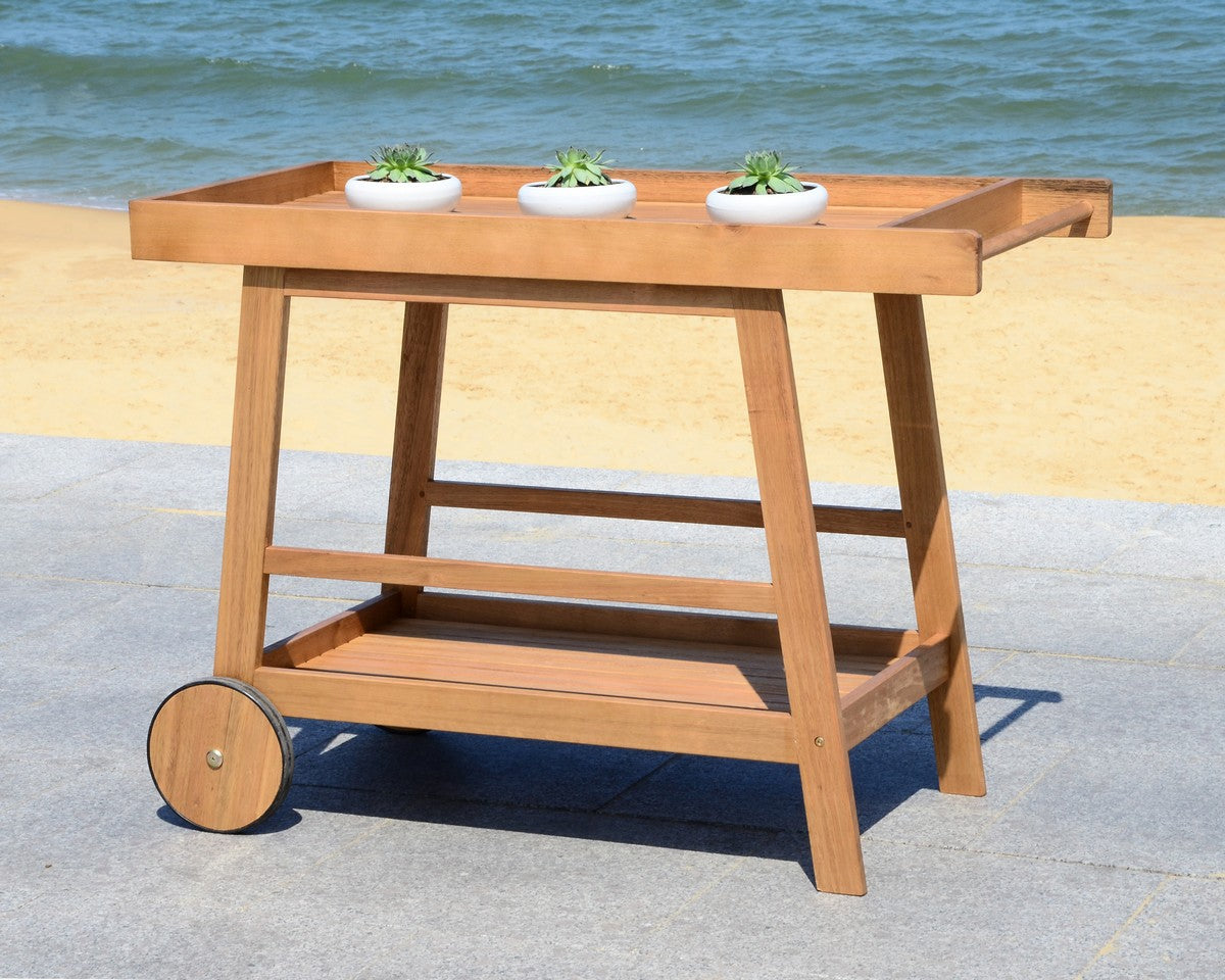 Cooper Indoor/Outdoor Bar Cart