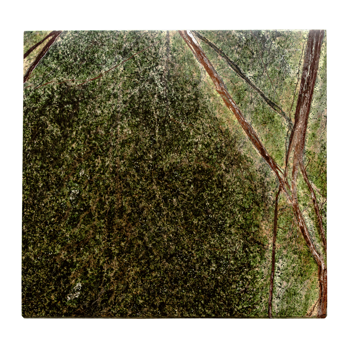Close-up of a green marble surface with veining