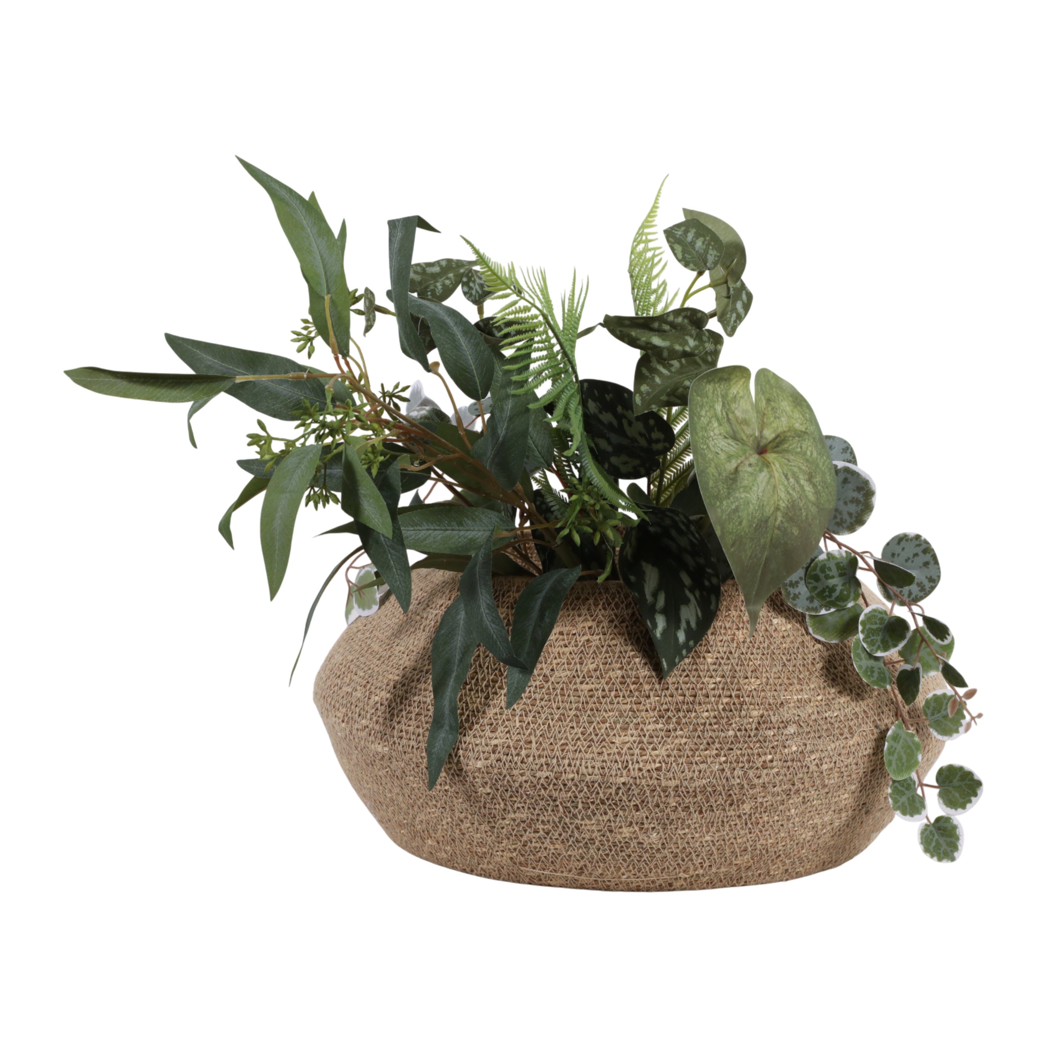 Decorative pot with green plants on a white background