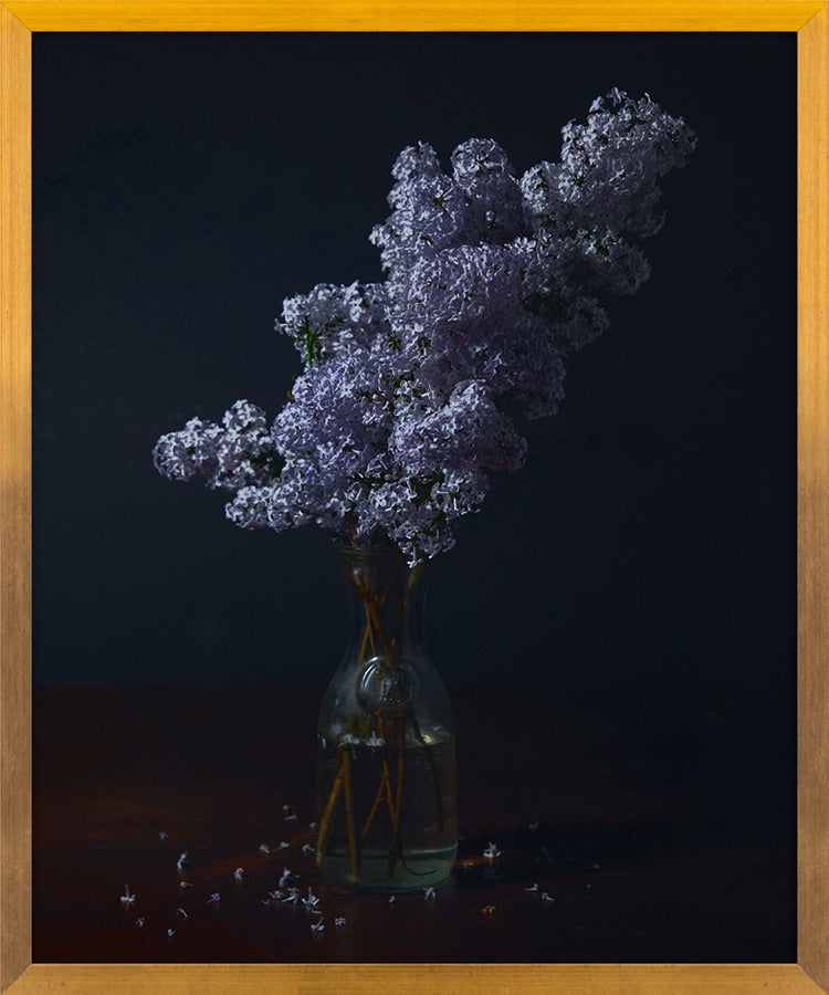 Lilac II
