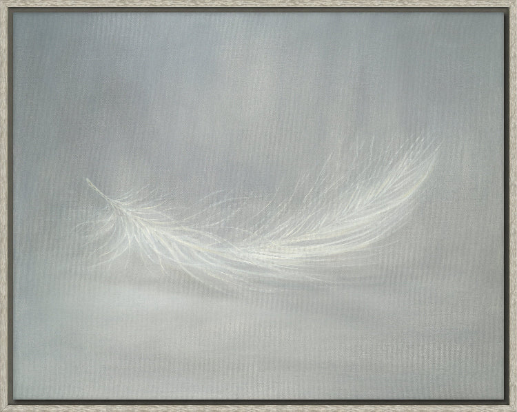 Small White Feather