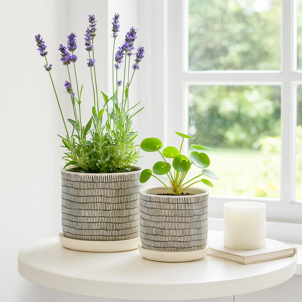 Sorenzo Ceramic Planters - Set of 2