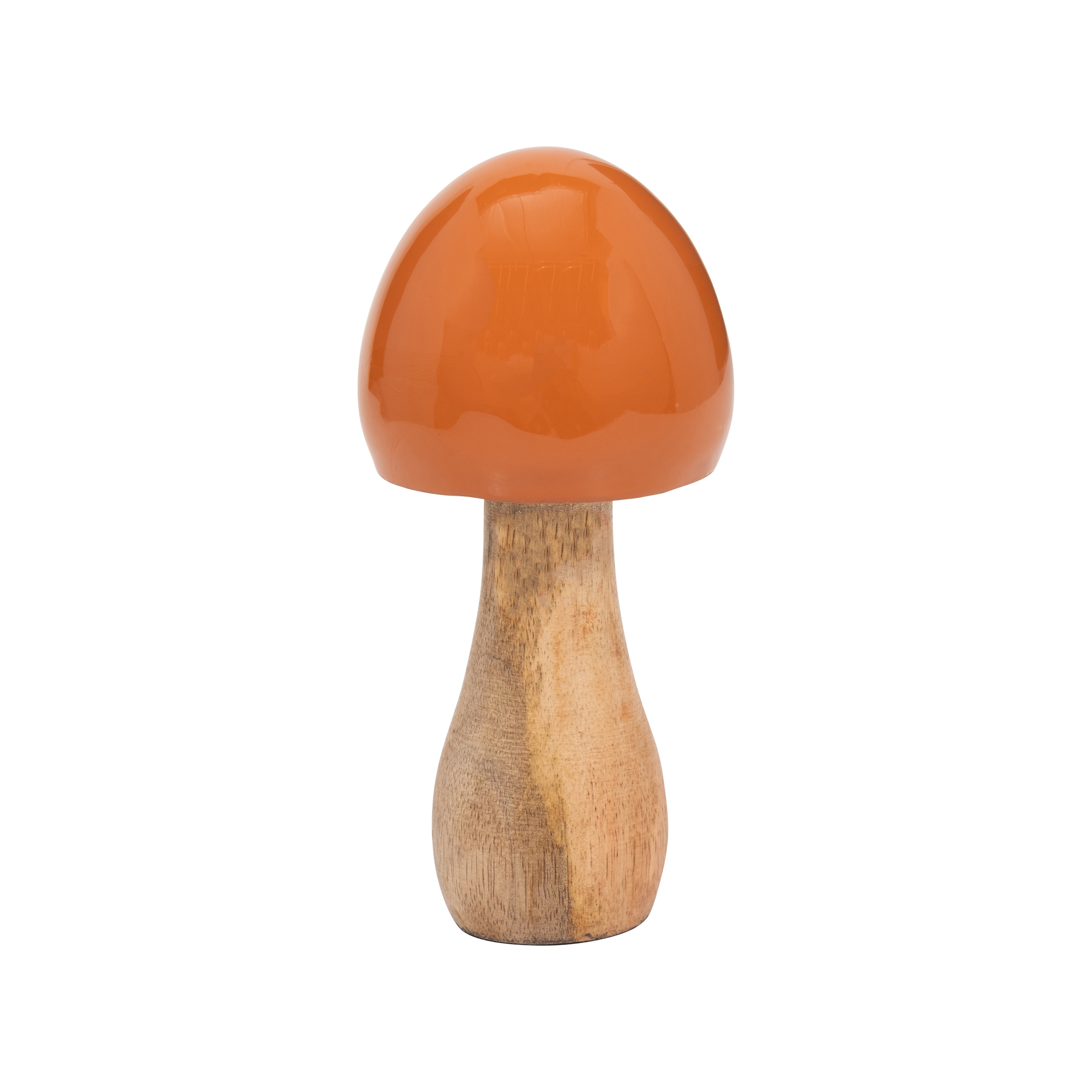 Cassius Mushroom