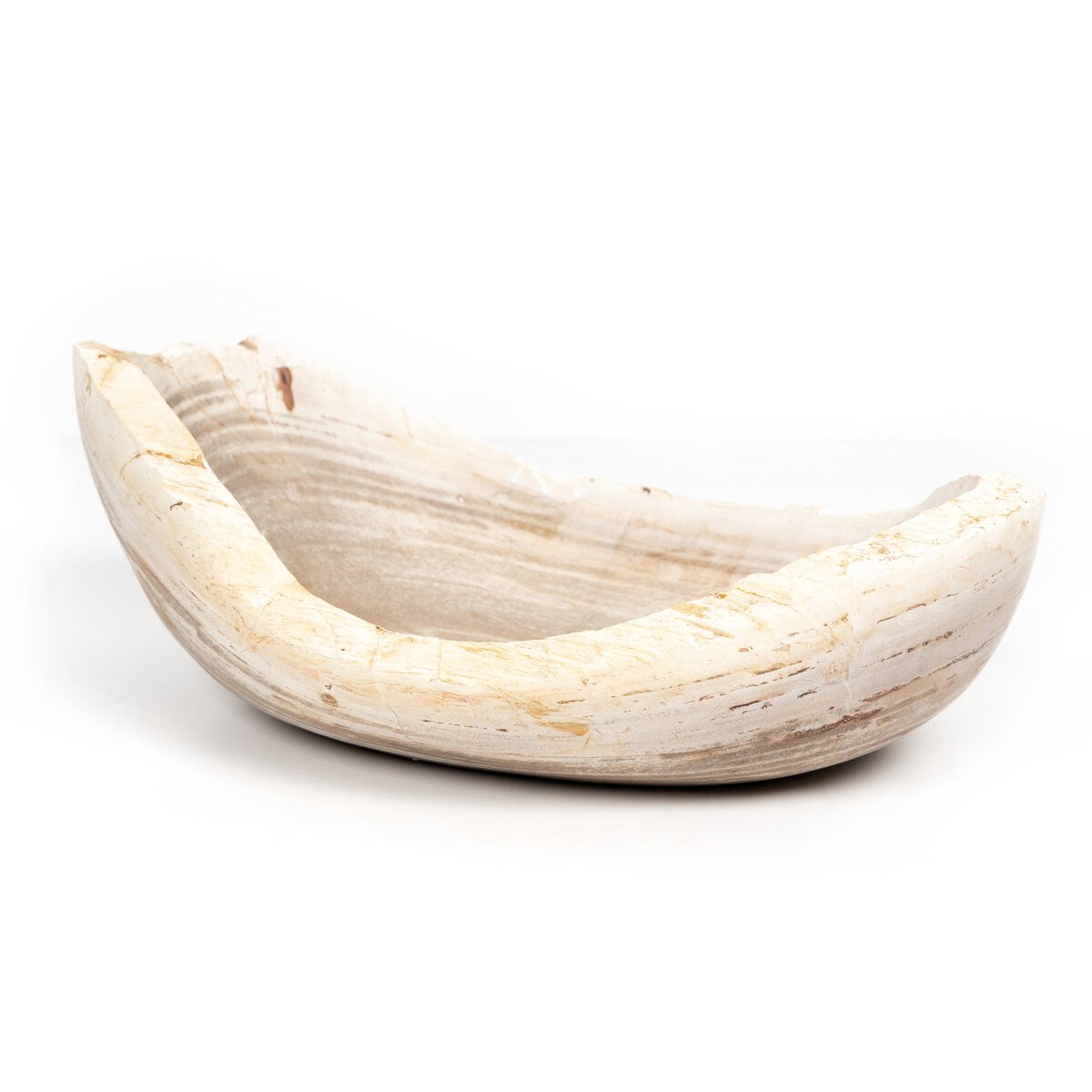 Oval Petrified Wood Bowl
