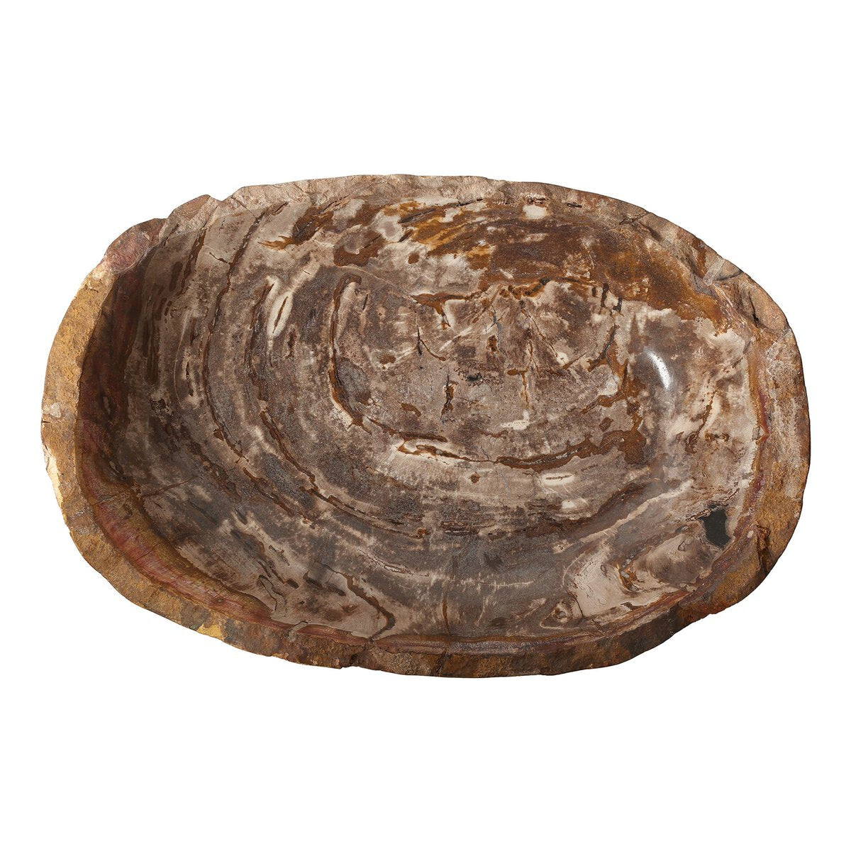 Oval Petrified Wood Bowl