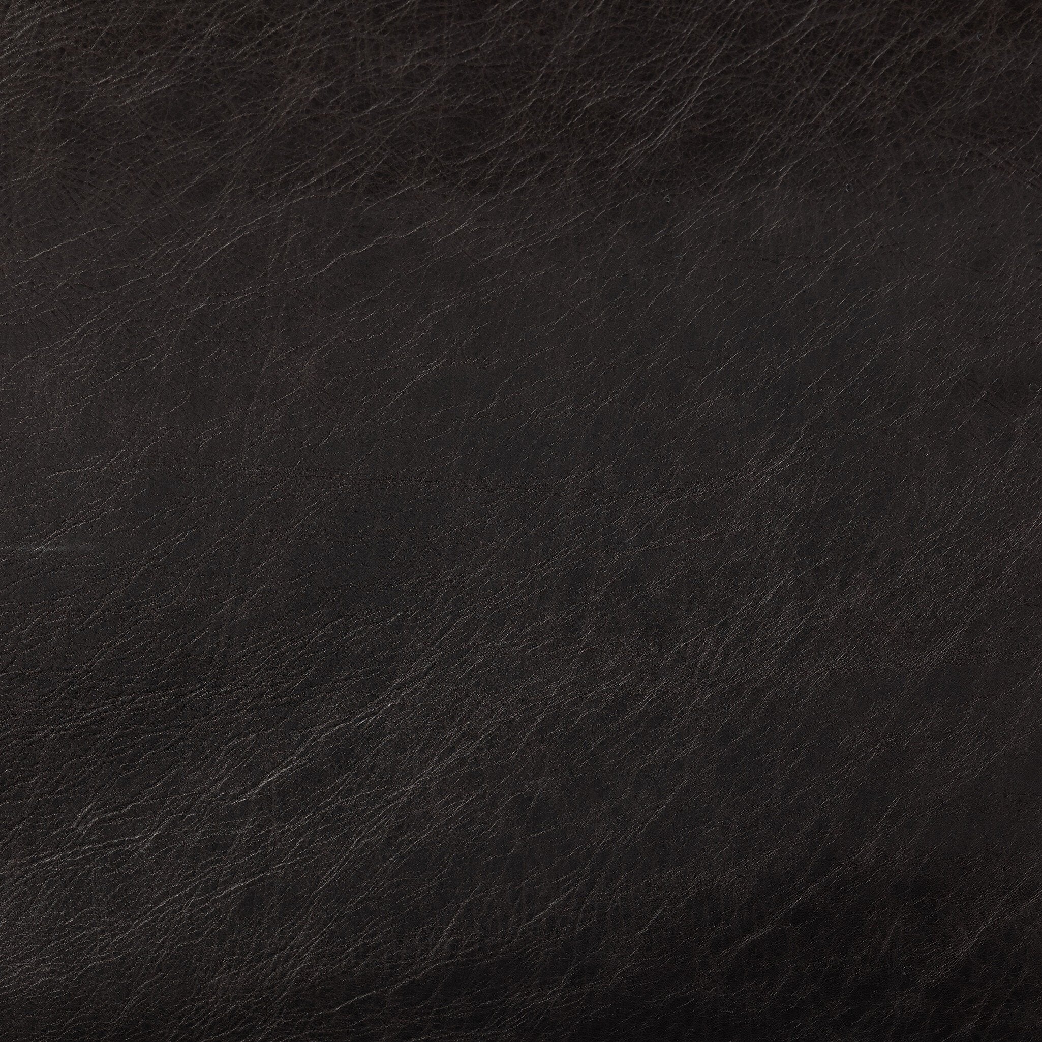 Close-up of dark fur texture
