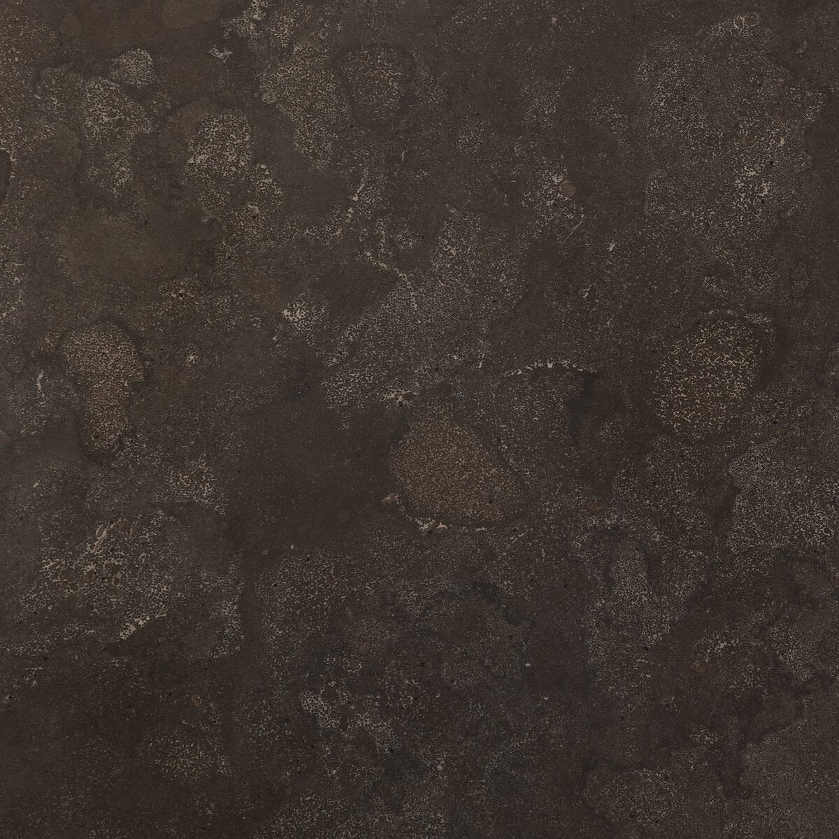 Close-up of a textured dark brown surface