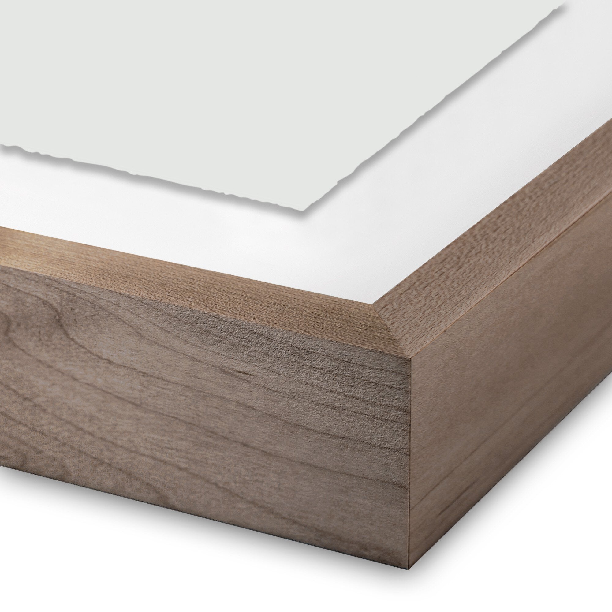 Monoprint 2 by Fox Studios