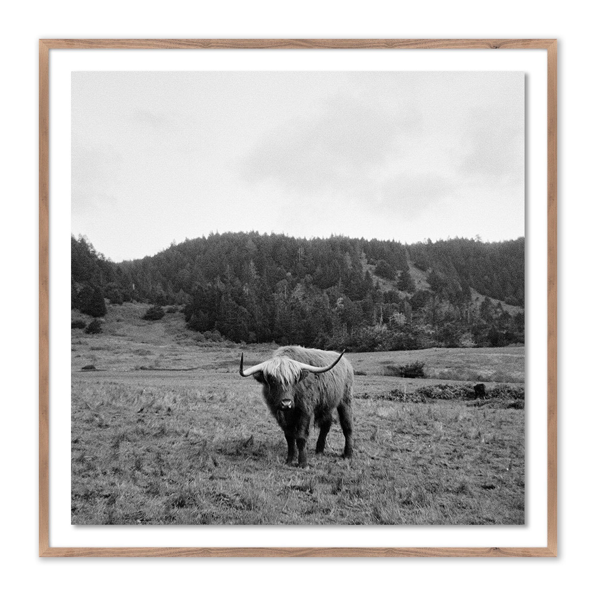 Highlander / Elk, Ca by Wesley and Emma Teague