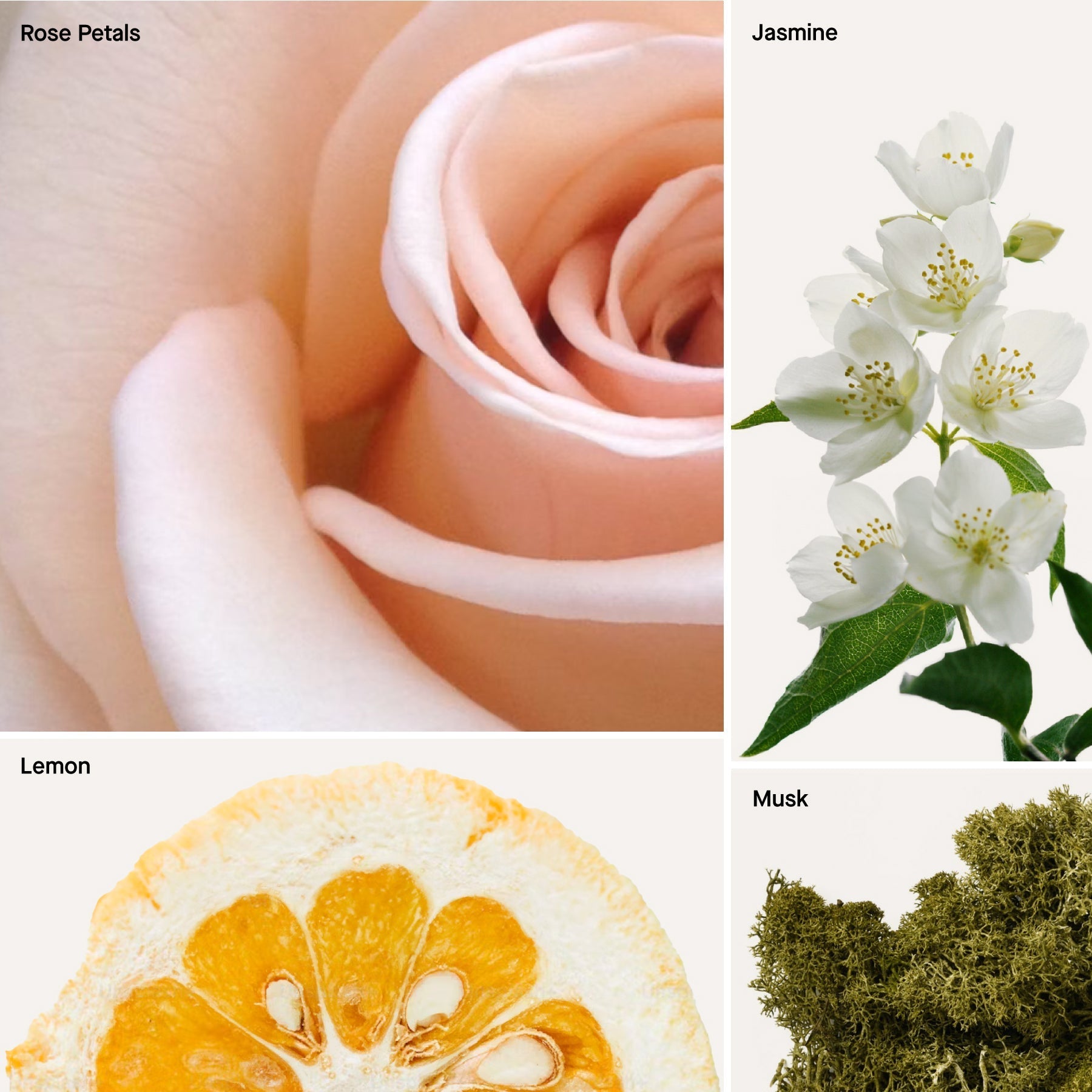 Baies - 4 fl oz Room & Linen Spray