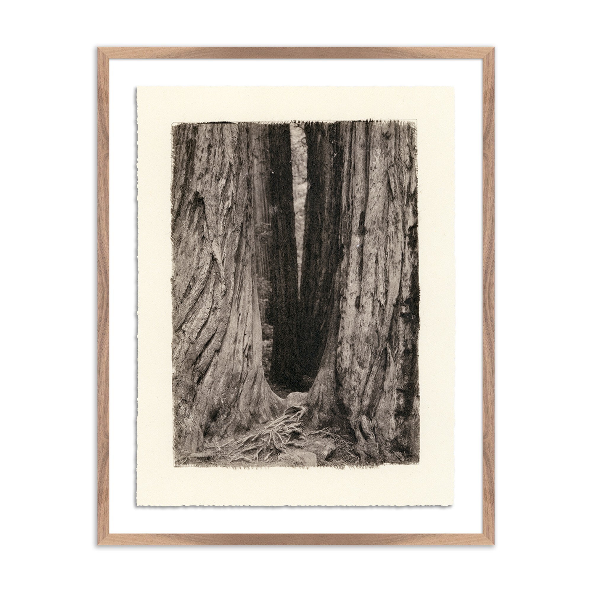 Framed black and white artwork of a tree stump on a beige background