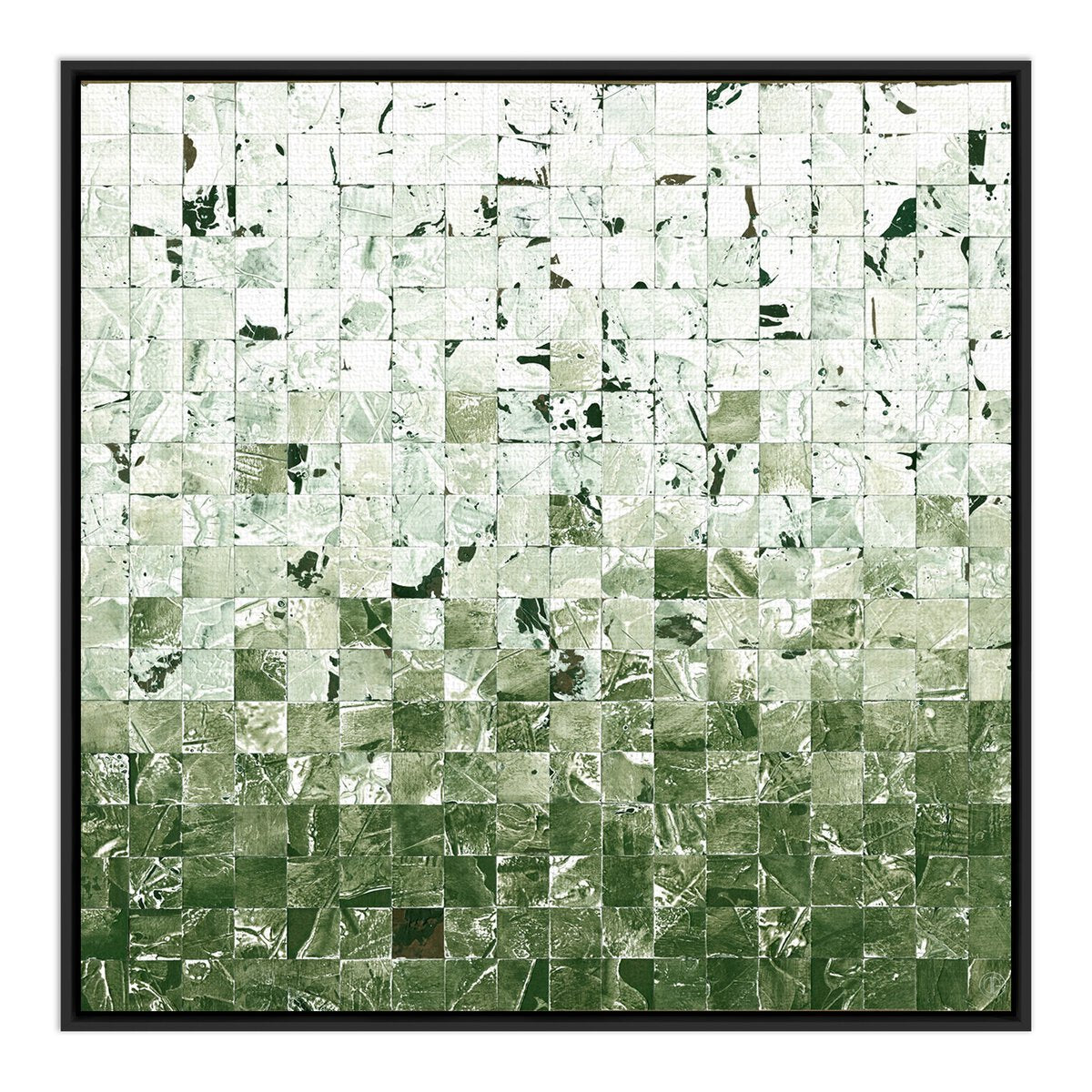 Merida Verde by Douglas Galloway