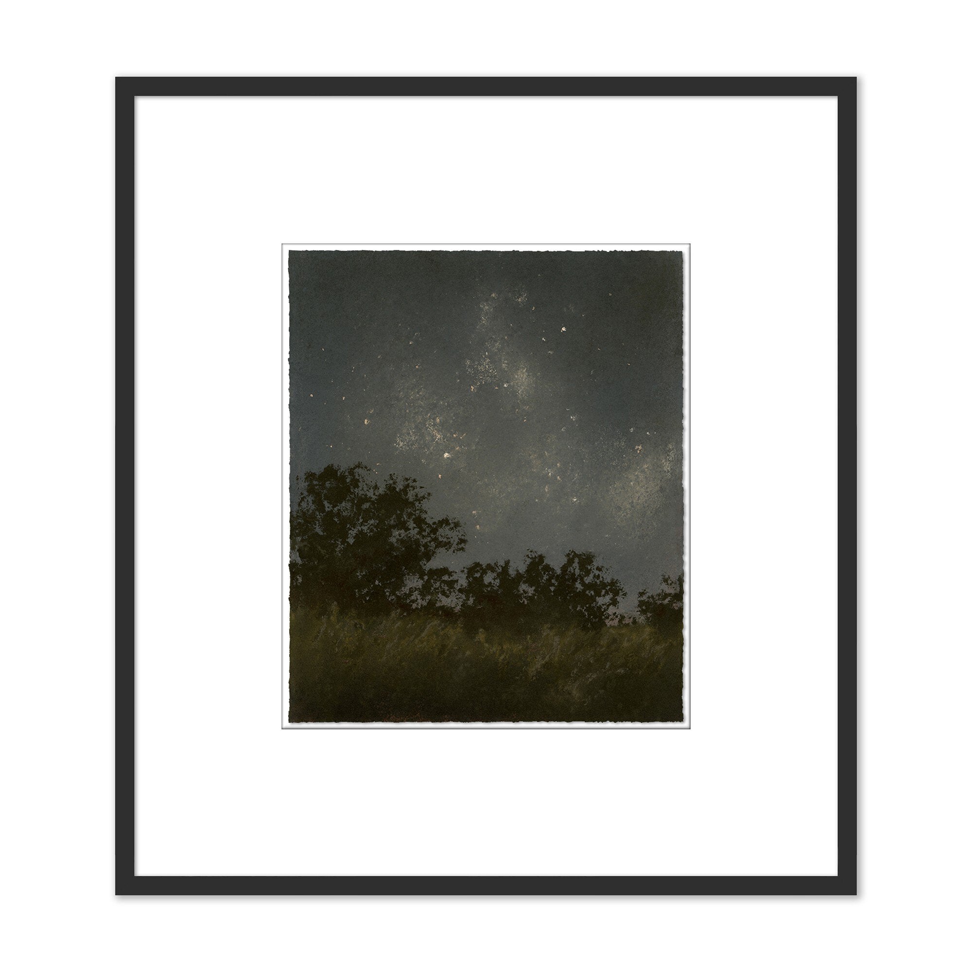 Framed photograph of a night sky with stars over a field and trees