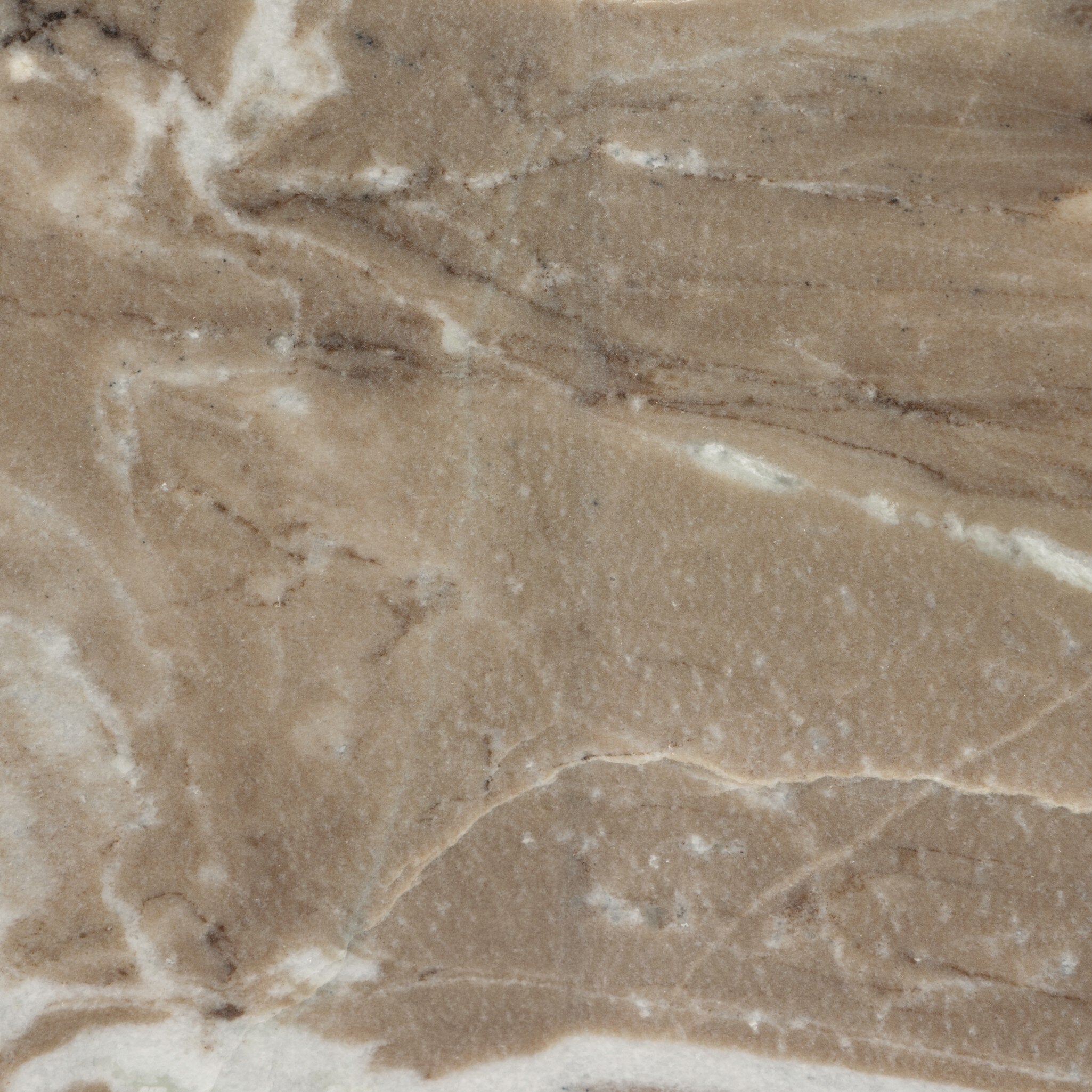 Close-up of a brown marble with visible veins and patterns