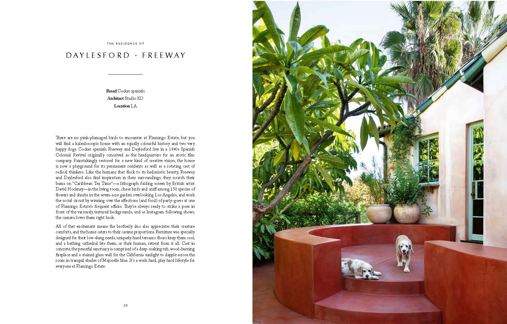 Garden scene with a house, plants, and two dogs on steps.