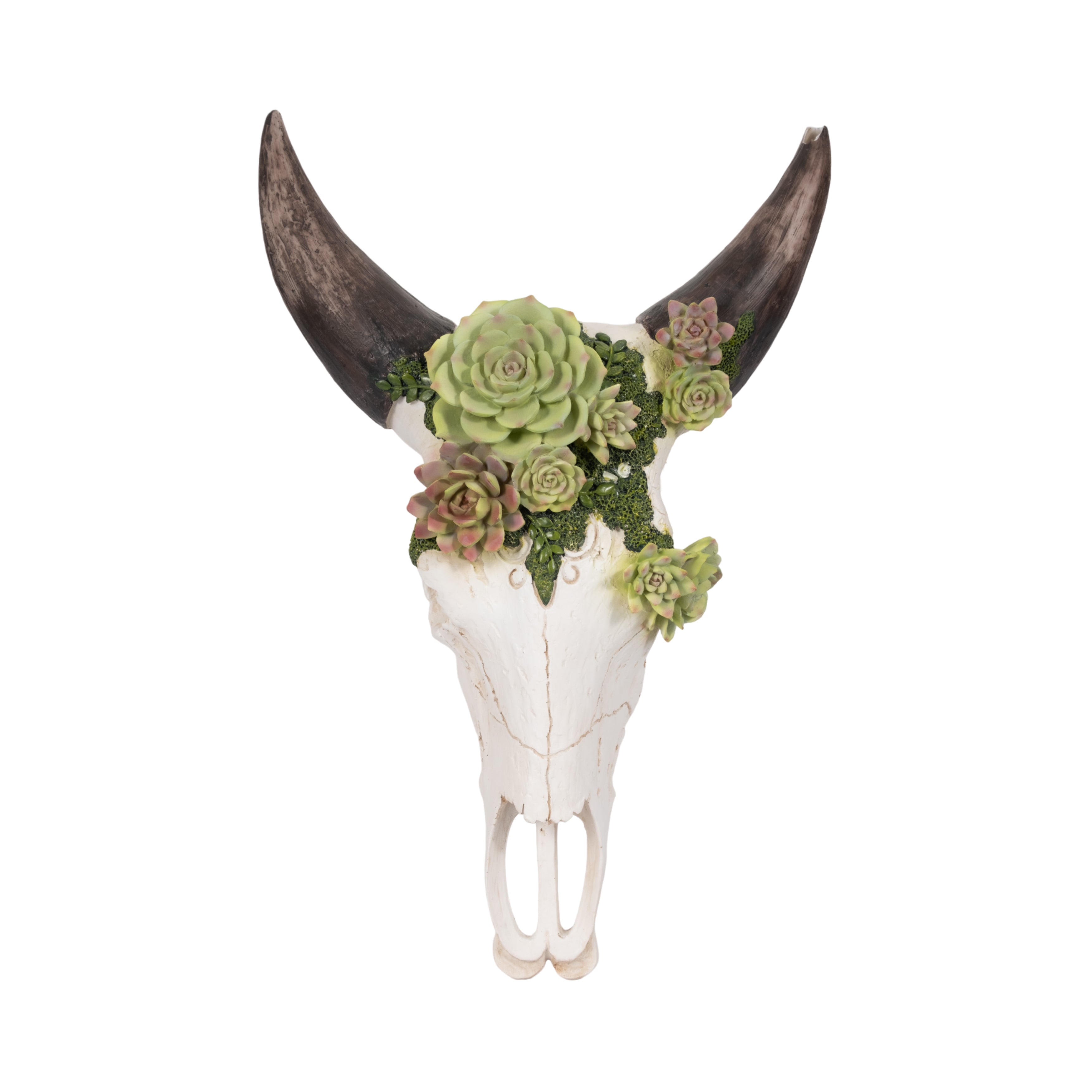 Decorative bull skull with green succulents on a white background