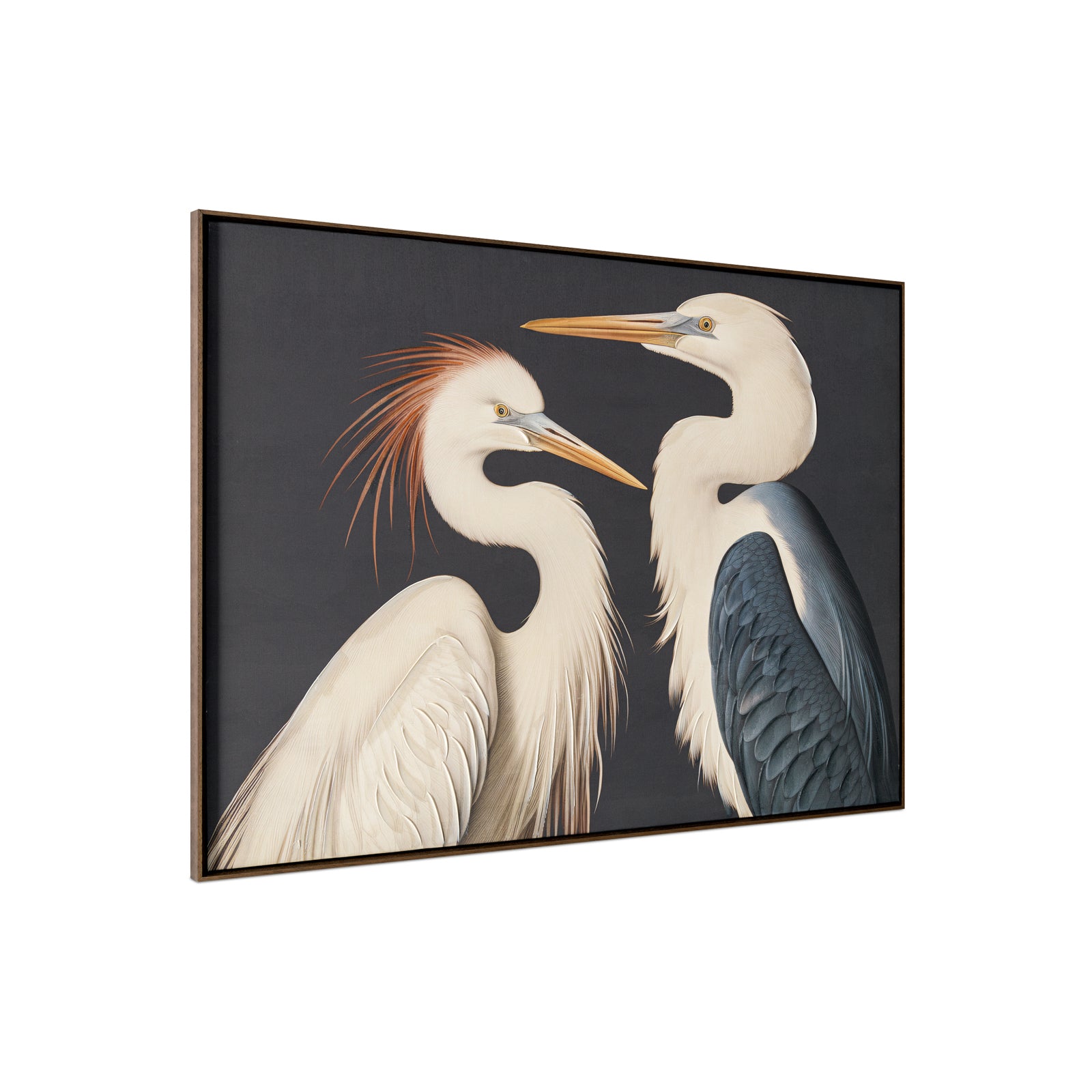 Gruidae Framed Painting