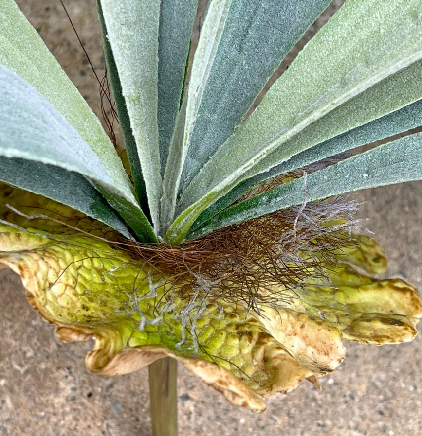 Premium Quality Extra Large Lifelike Staghorn Fern
