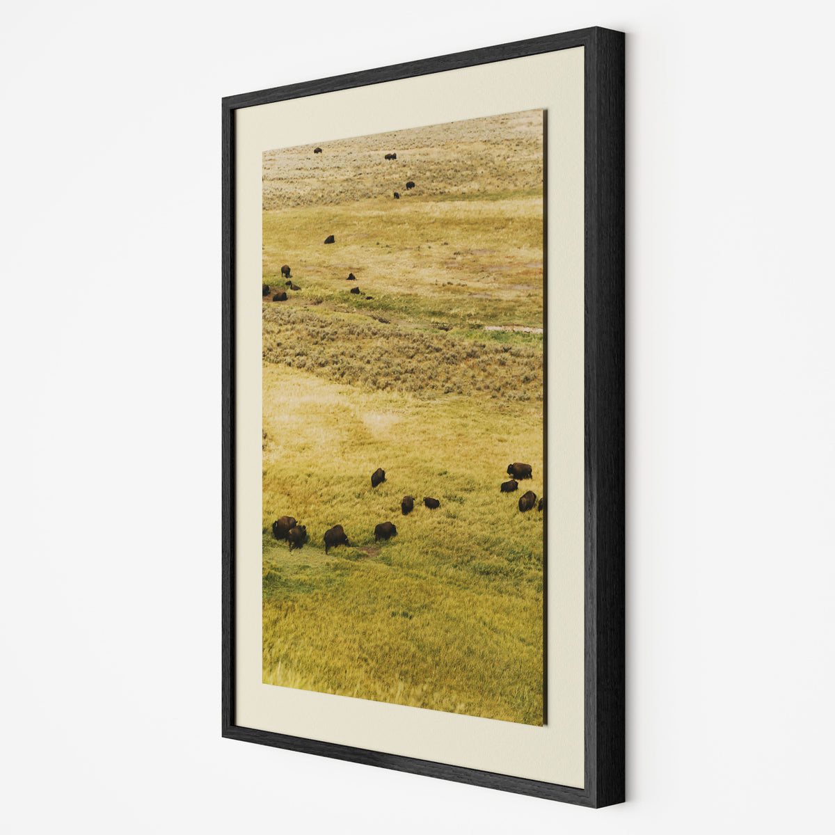 Framed vertical landscape art print depicting bison grazing in a golden grassy field, presented in a black frame with a cream mat against a white background.