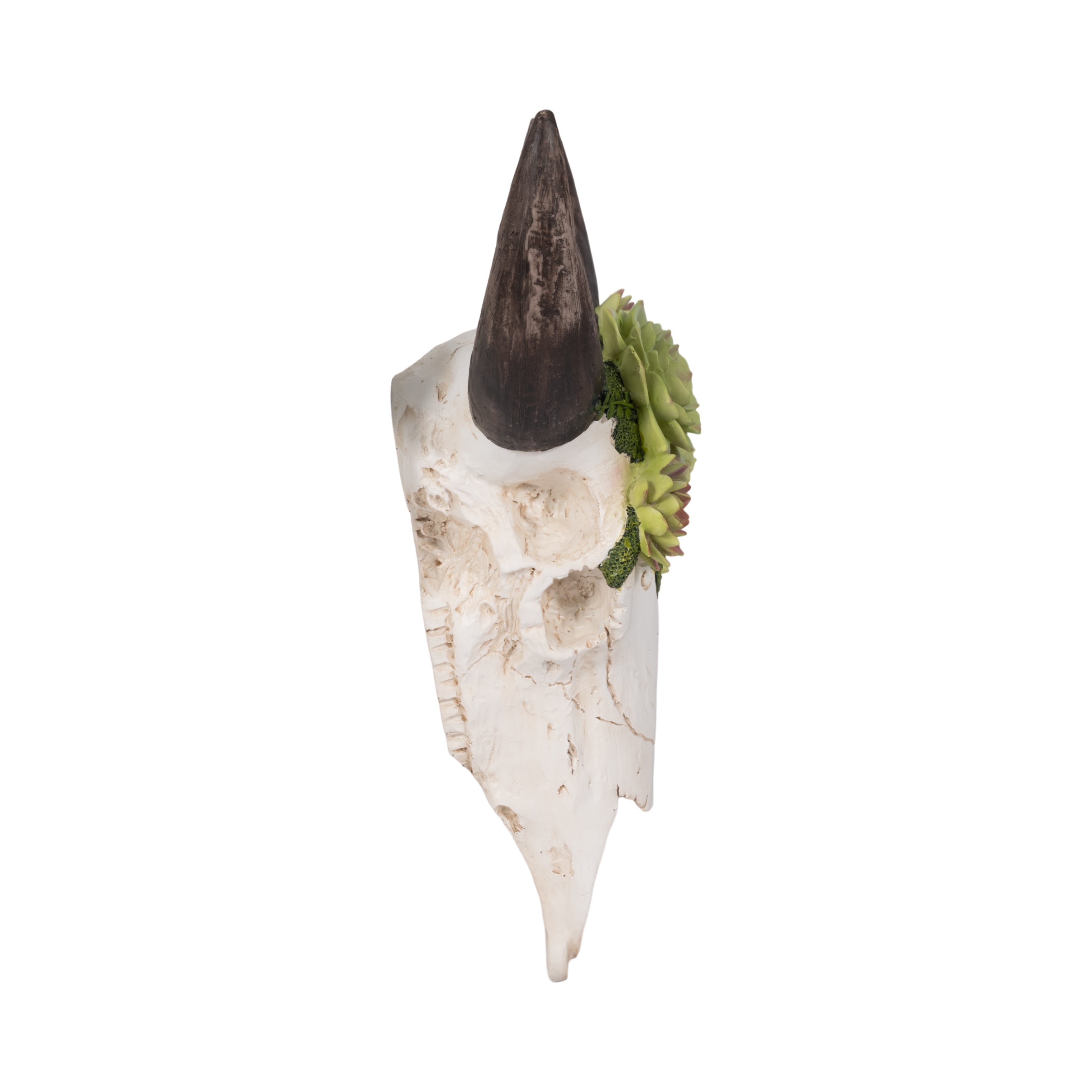 Decorative item with a large horn-like structure on a white background