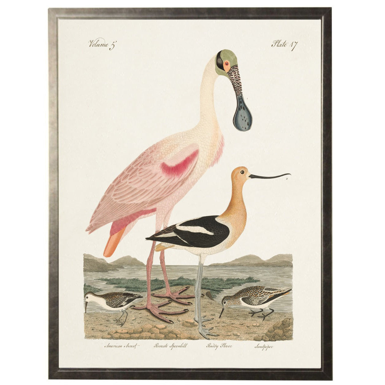 Framed artwork of two birds on a naturalistic background