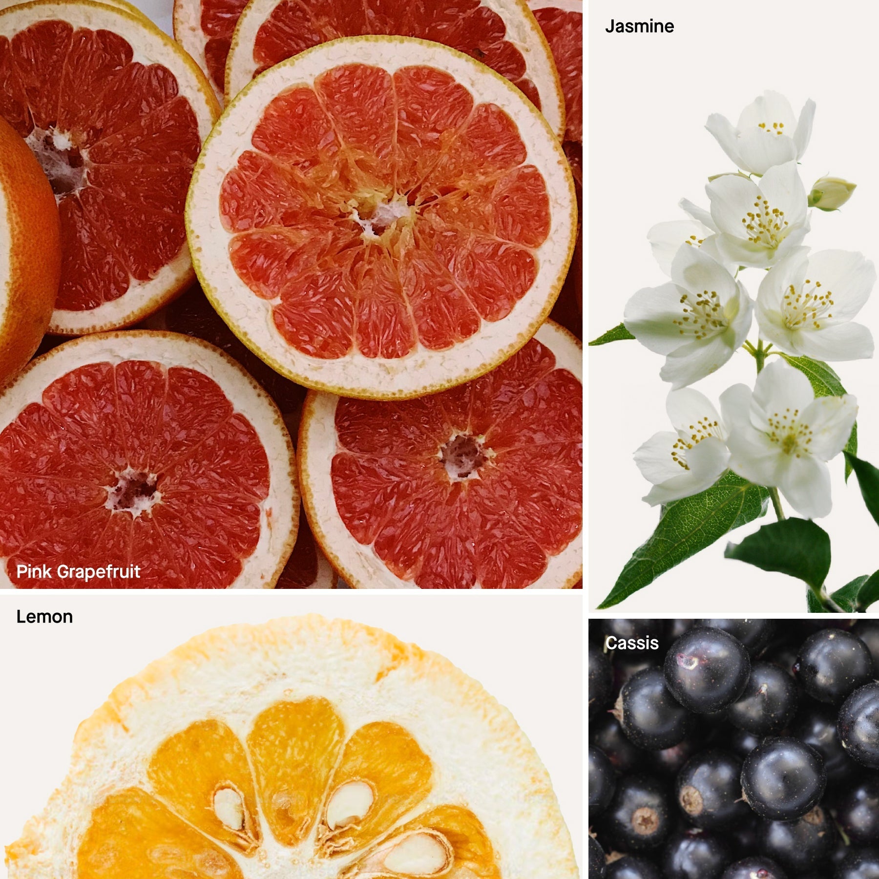 Grapefruit - Reed Diffuser