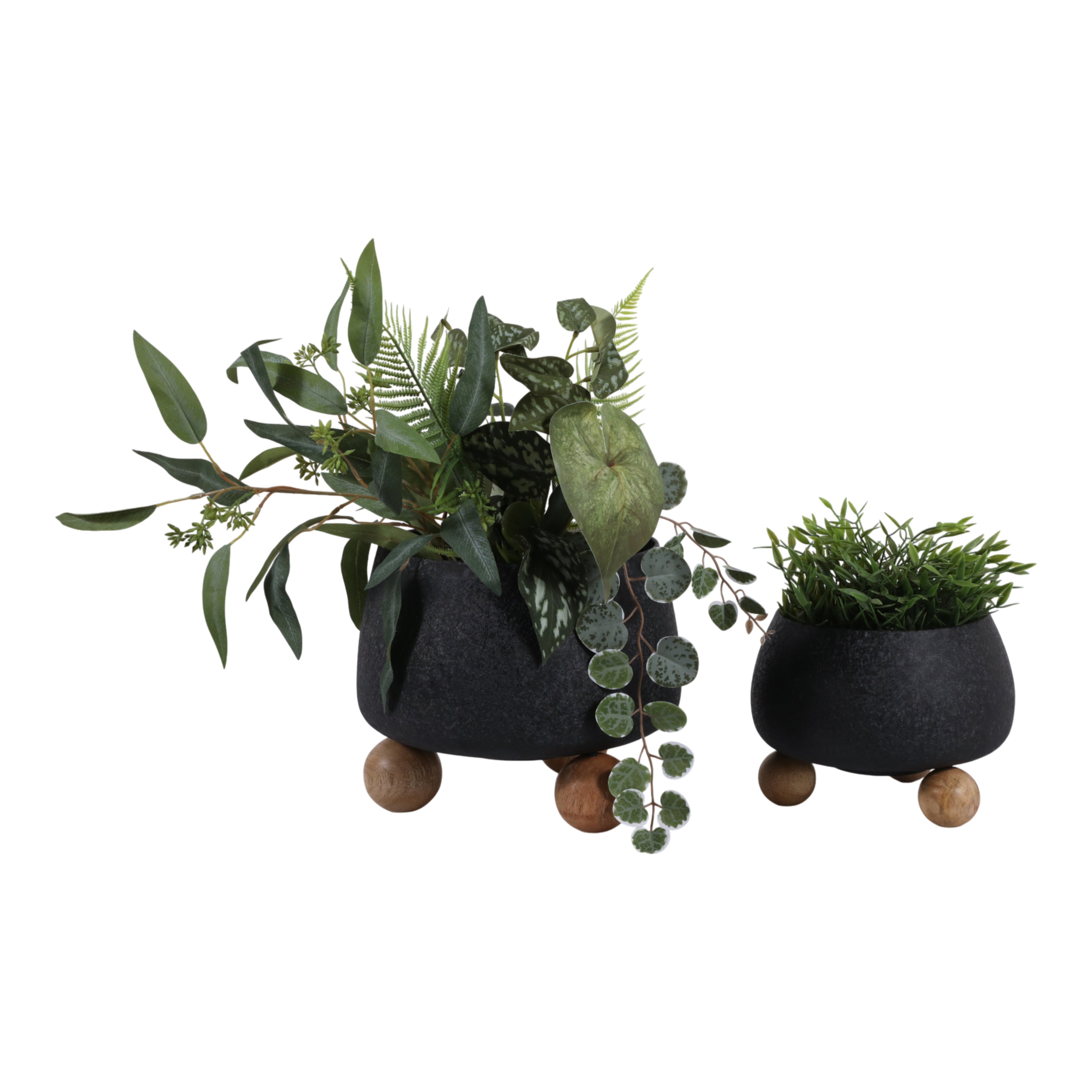 Two black planters with green plants on a white background