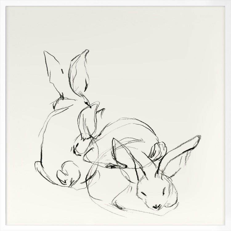 Bunny Group 2