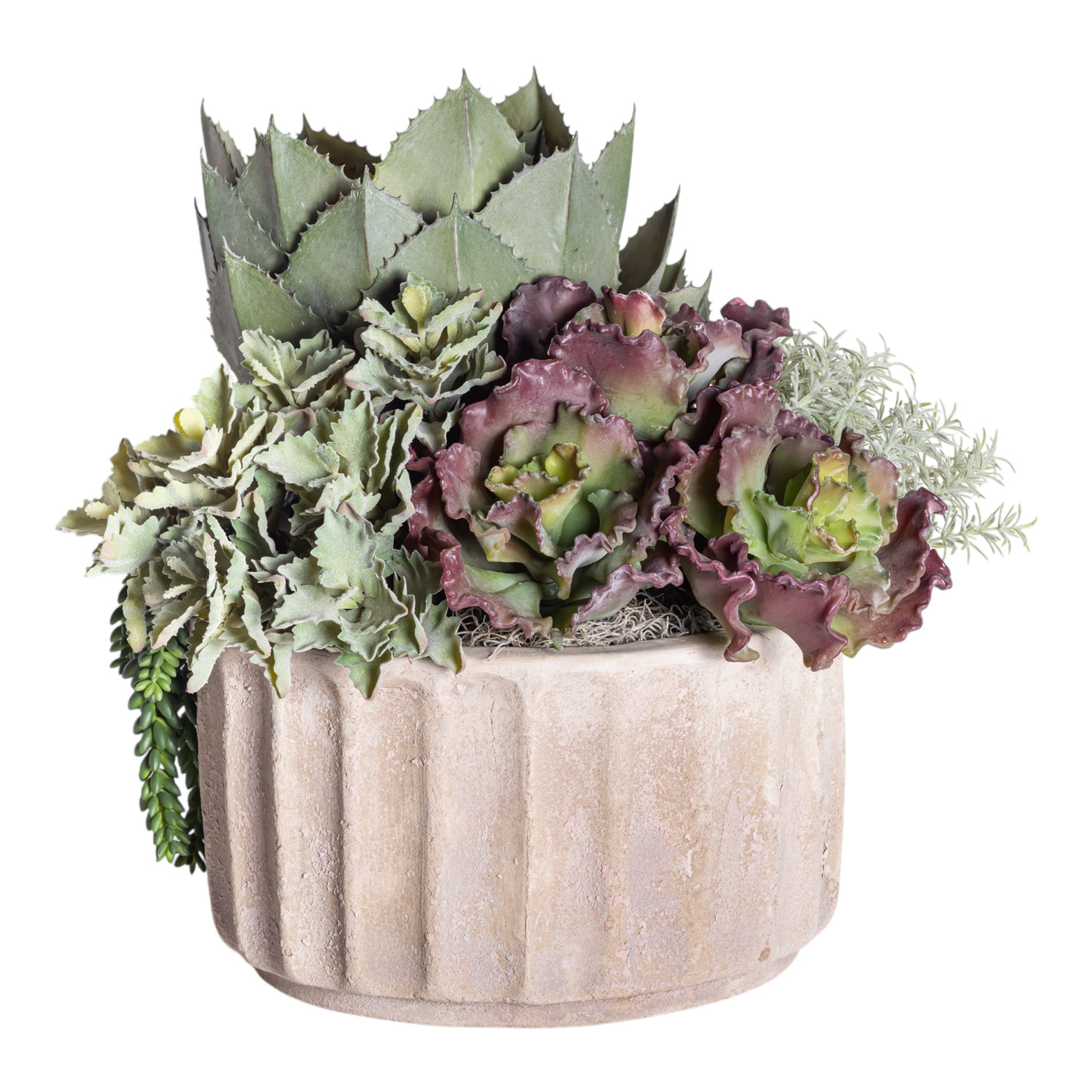 Mixed Succulent Arrangement in 15" Verona Planter