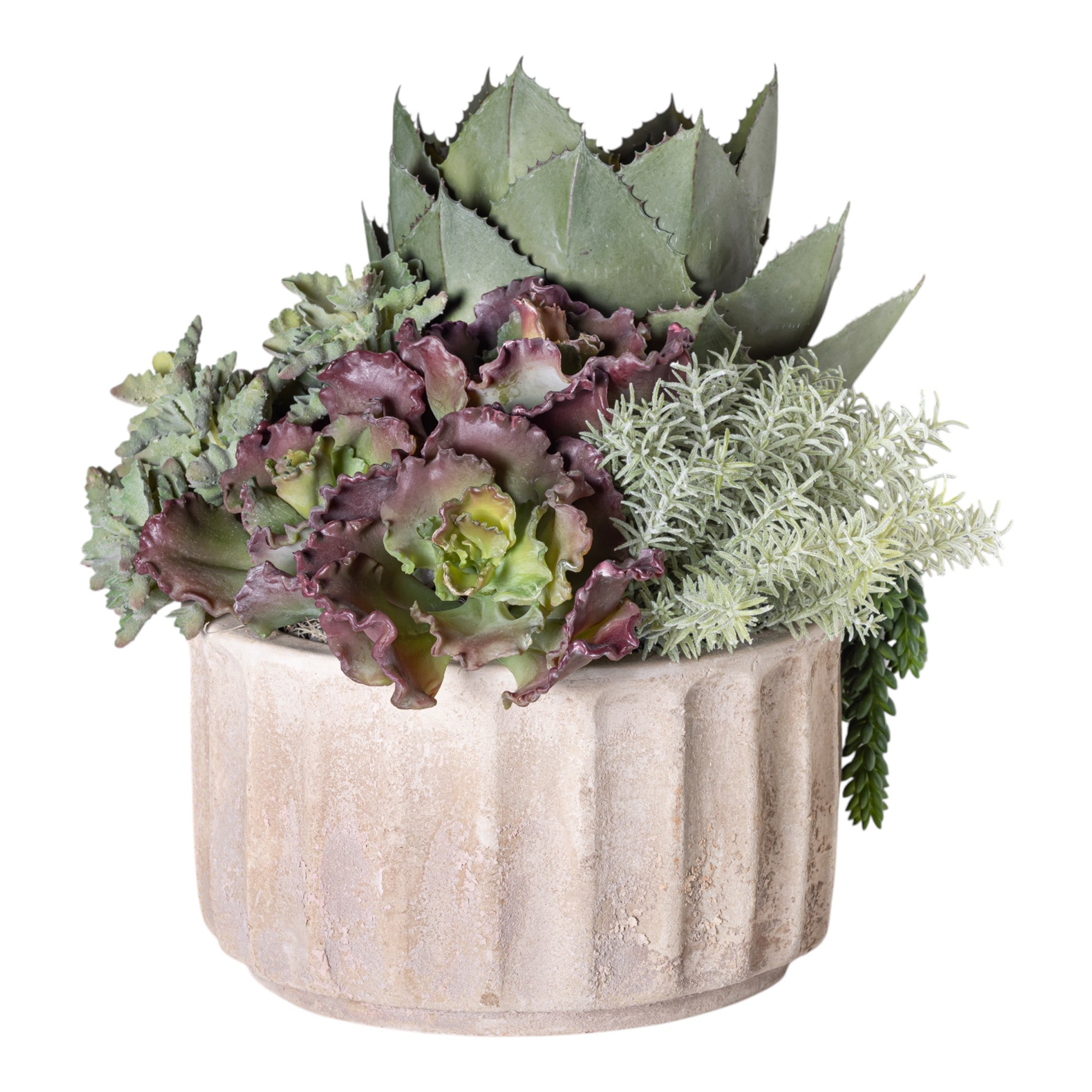 Mixed Succulent Arrangement in 15" Verona Planter