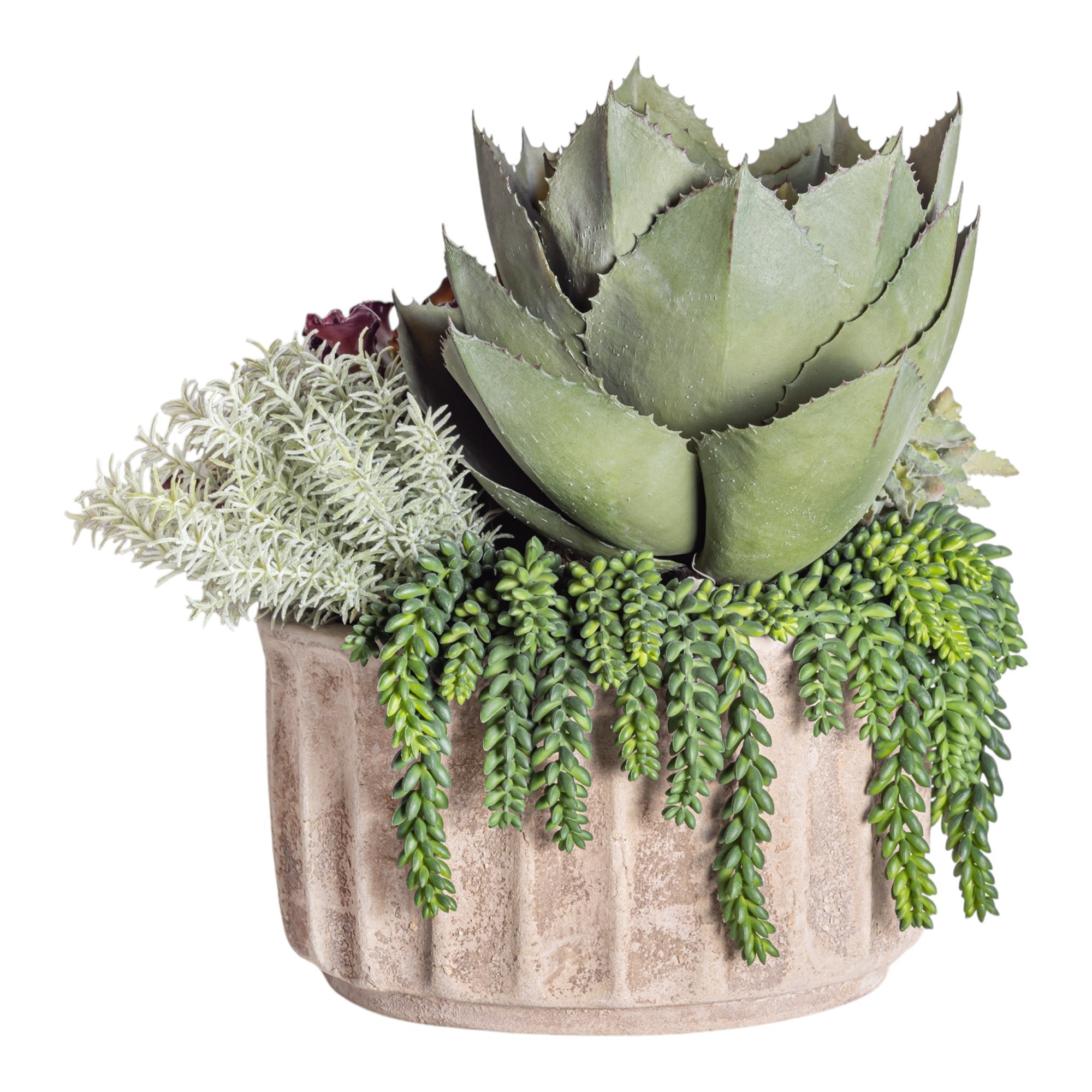 Mixed Succulent Arrangement in 15" Verona Planter