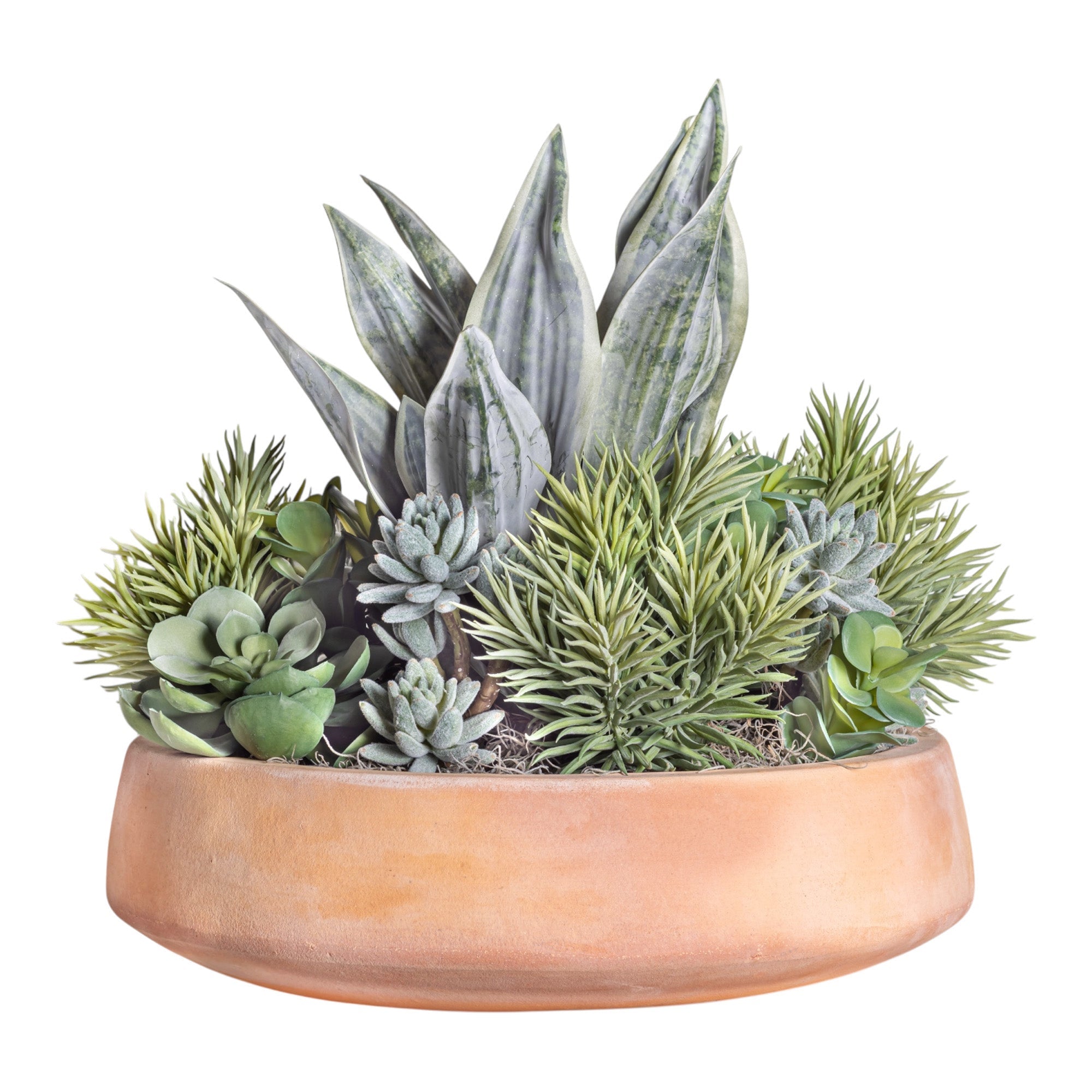 Mixed Succulent Arrangement in Terracotta Mack Bowl