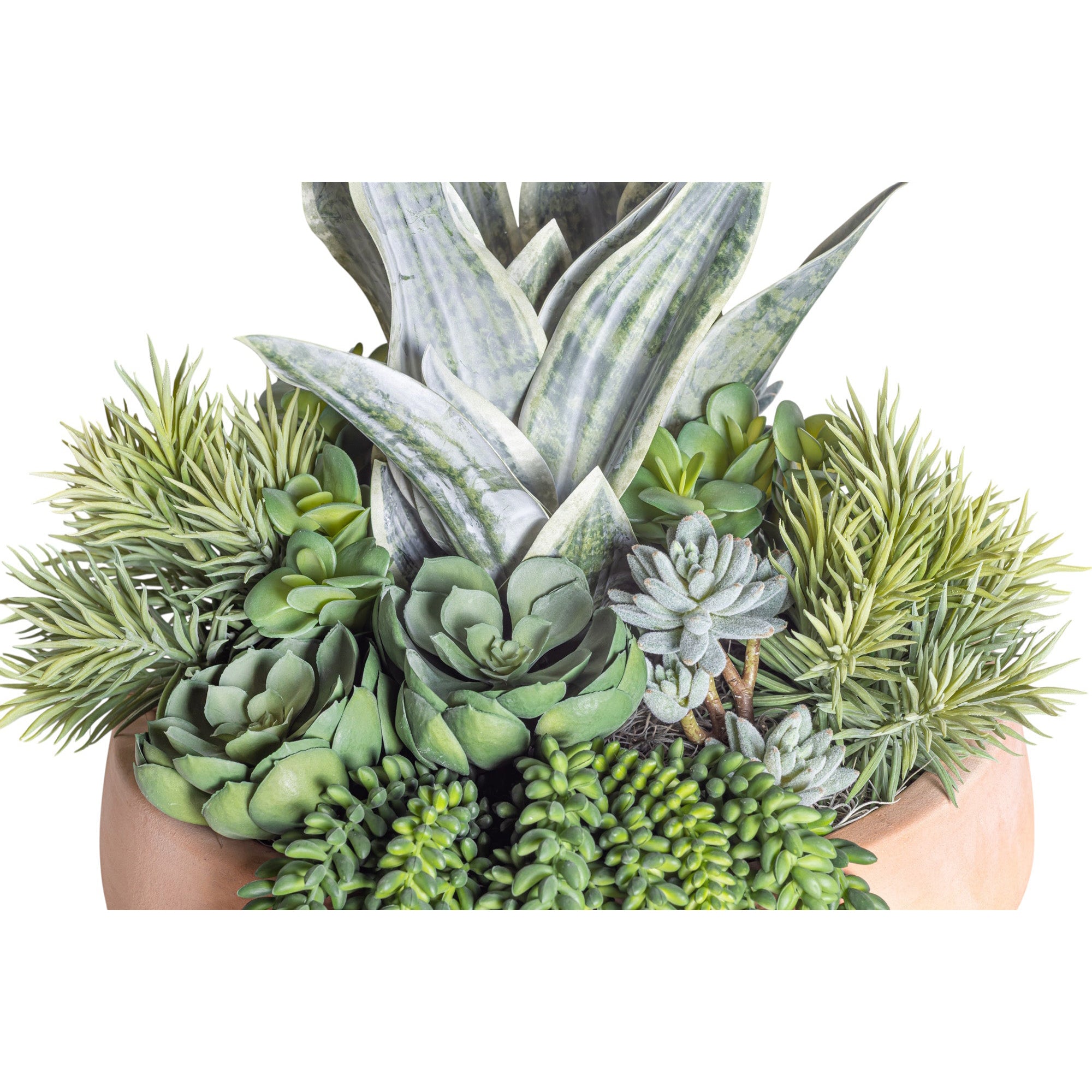 Mixed Succulent Arrangement in Terracotta Mack Bowl