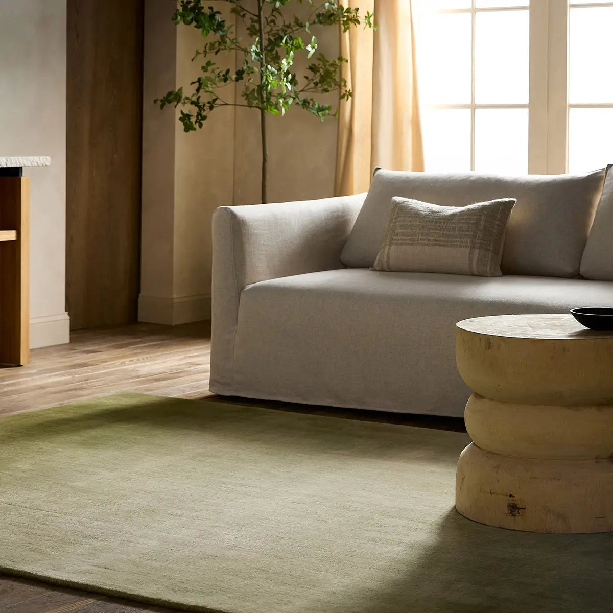 Odion Rug