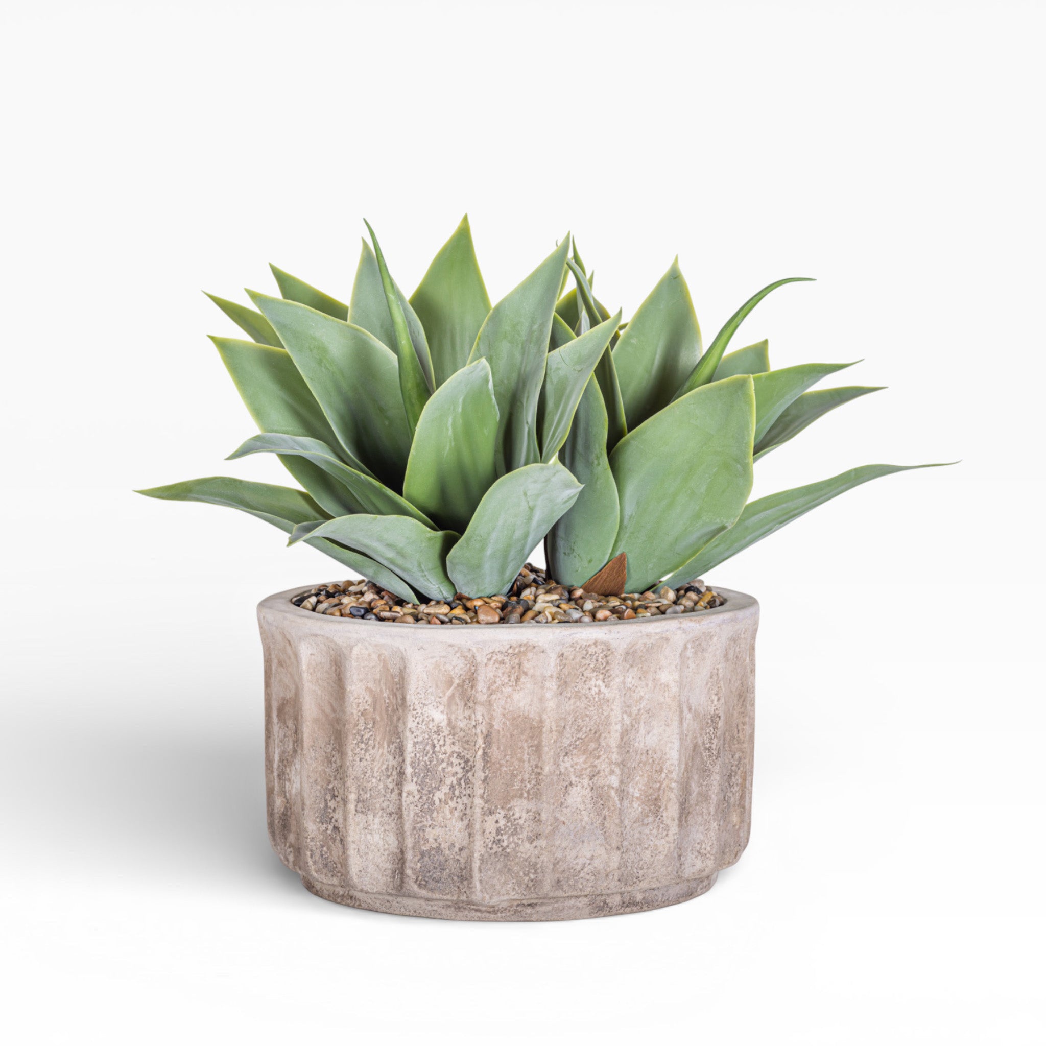 Agave Arrangement in 15" Verona Pot