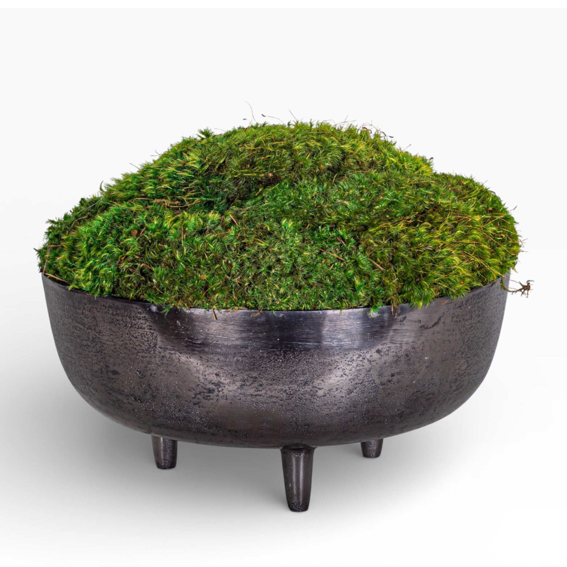 Mood Moss Arrangement in 13" Ryder Bowl