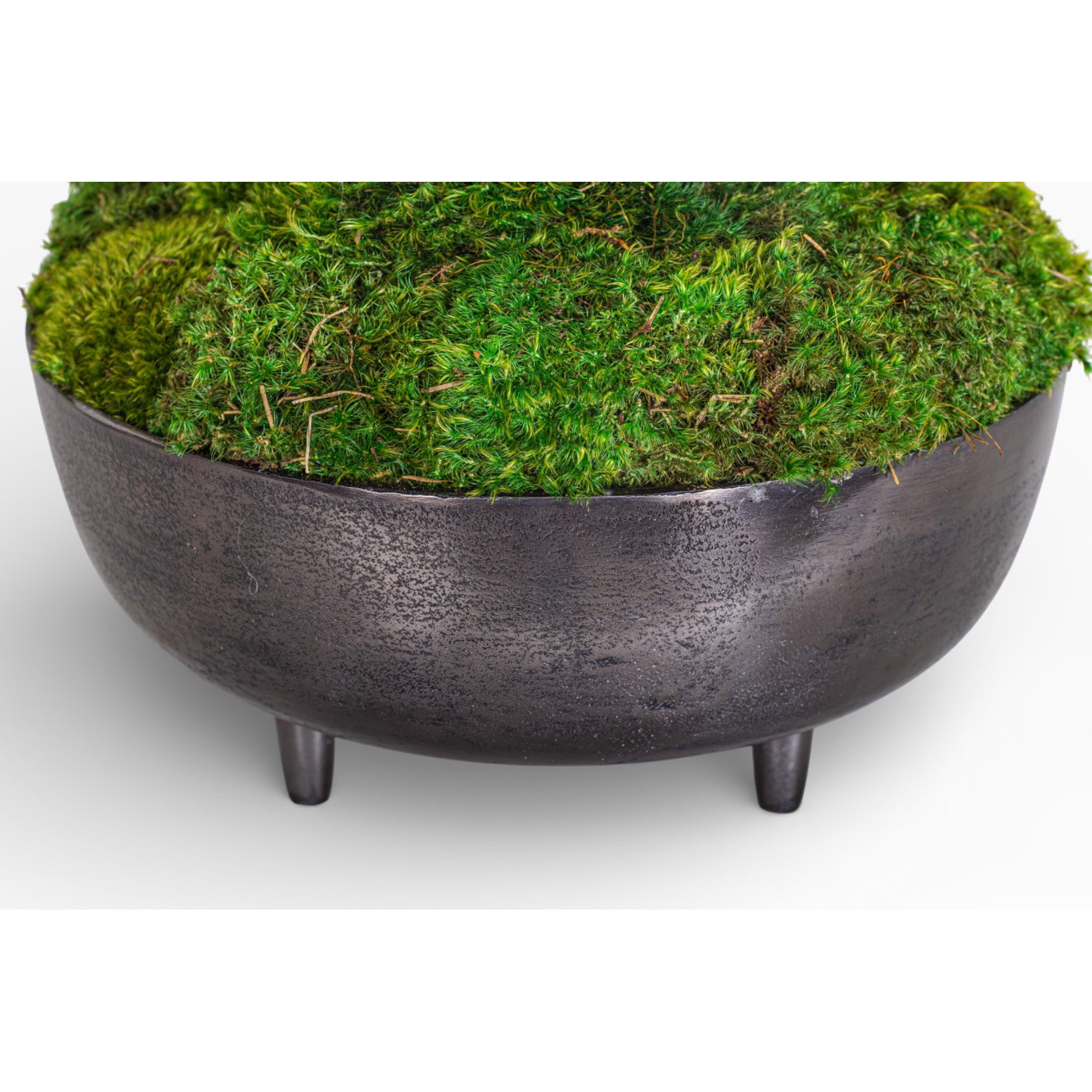 Mood Moss Arrangement in 13" Ryder Bowl