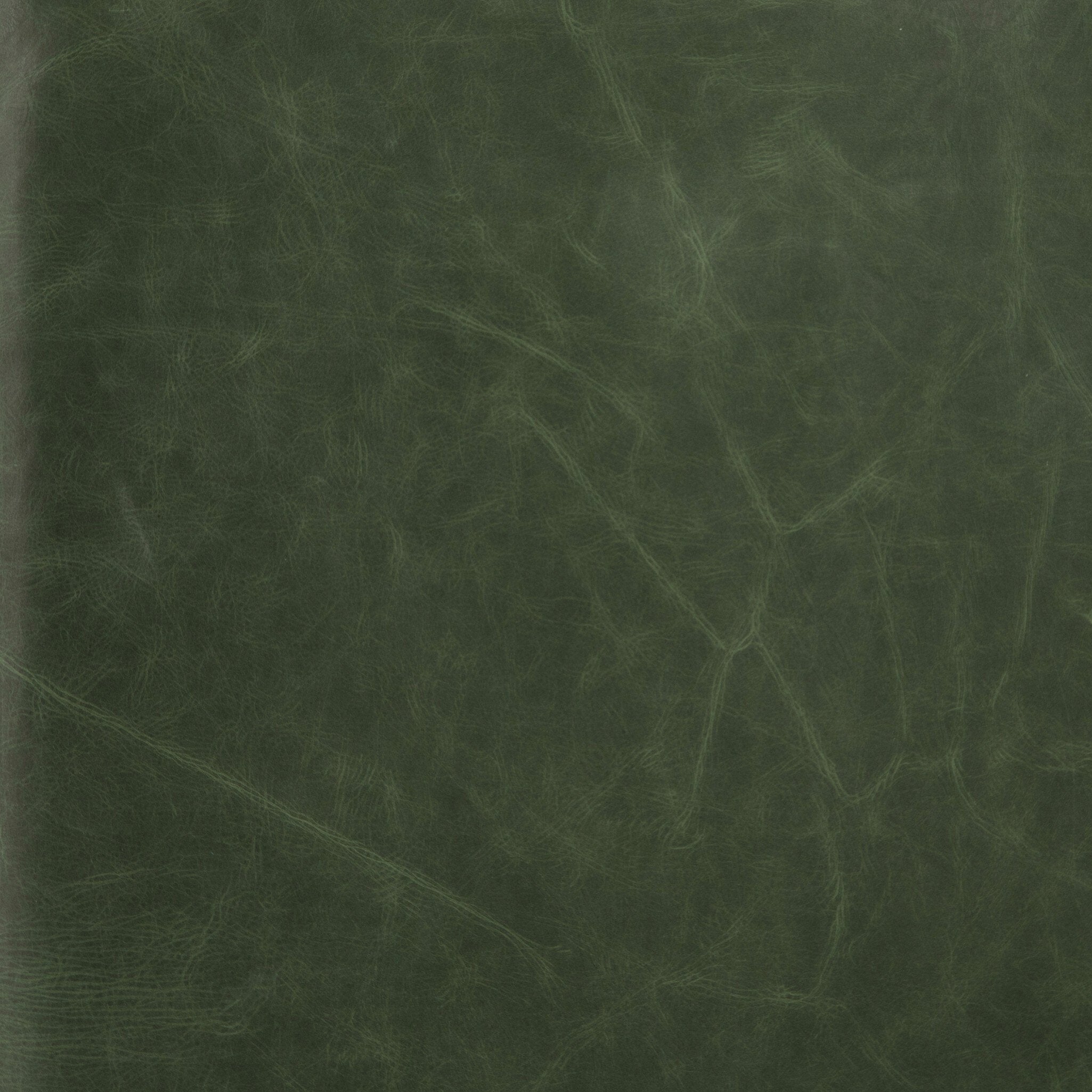 #color_Eden sage