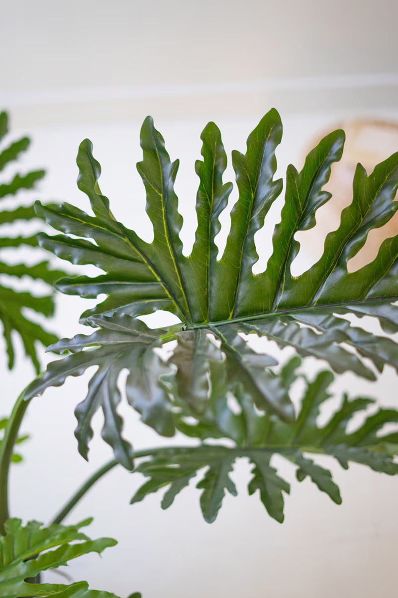 Close-up of a green leaf with a blurred background