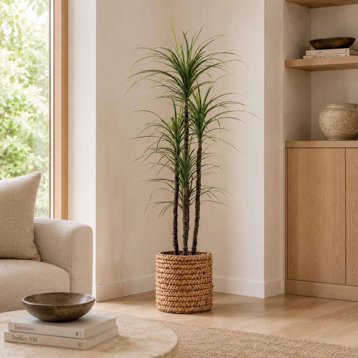 5.5' UV Treated Yucca Tree
