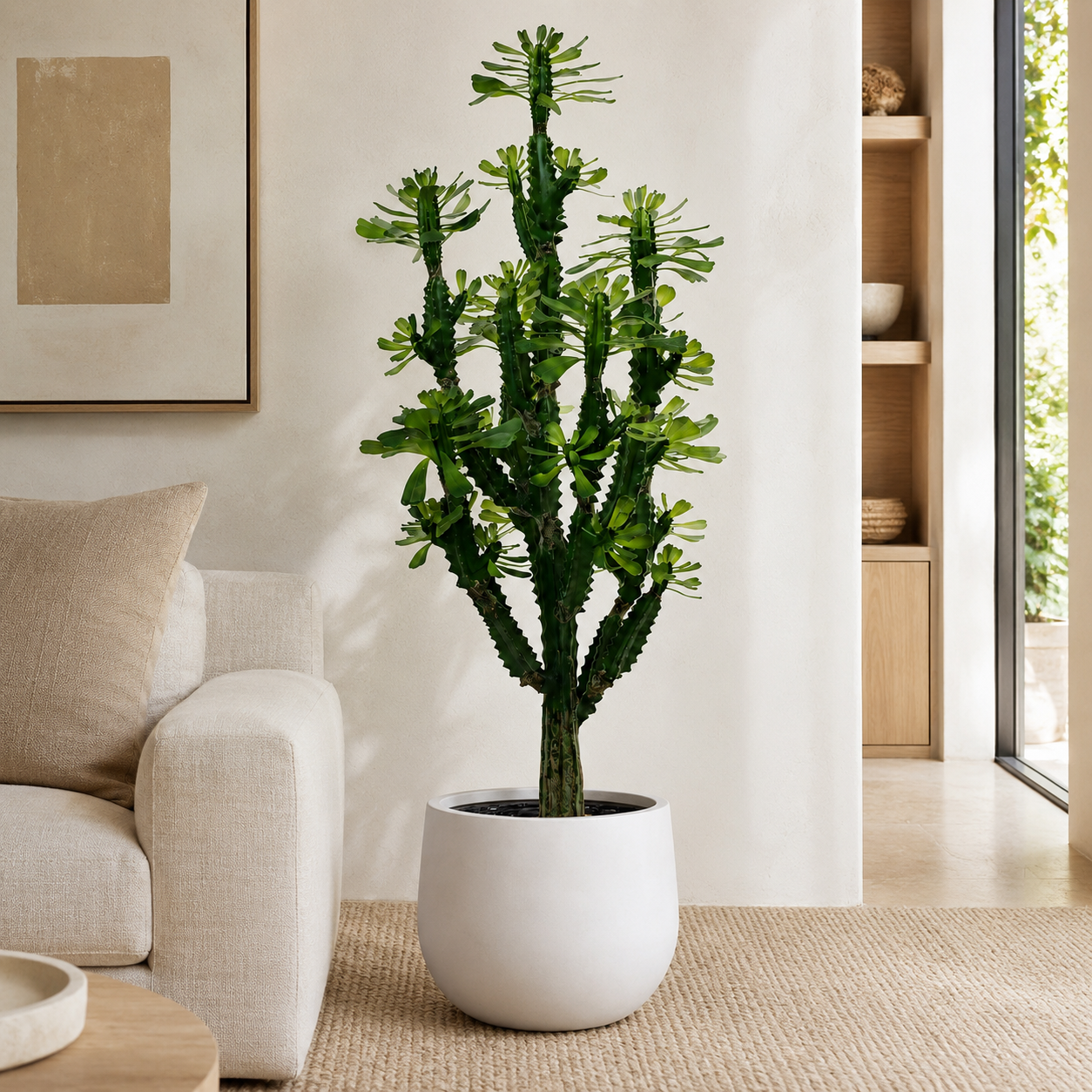 5' Thorny Rudraksha Cactus