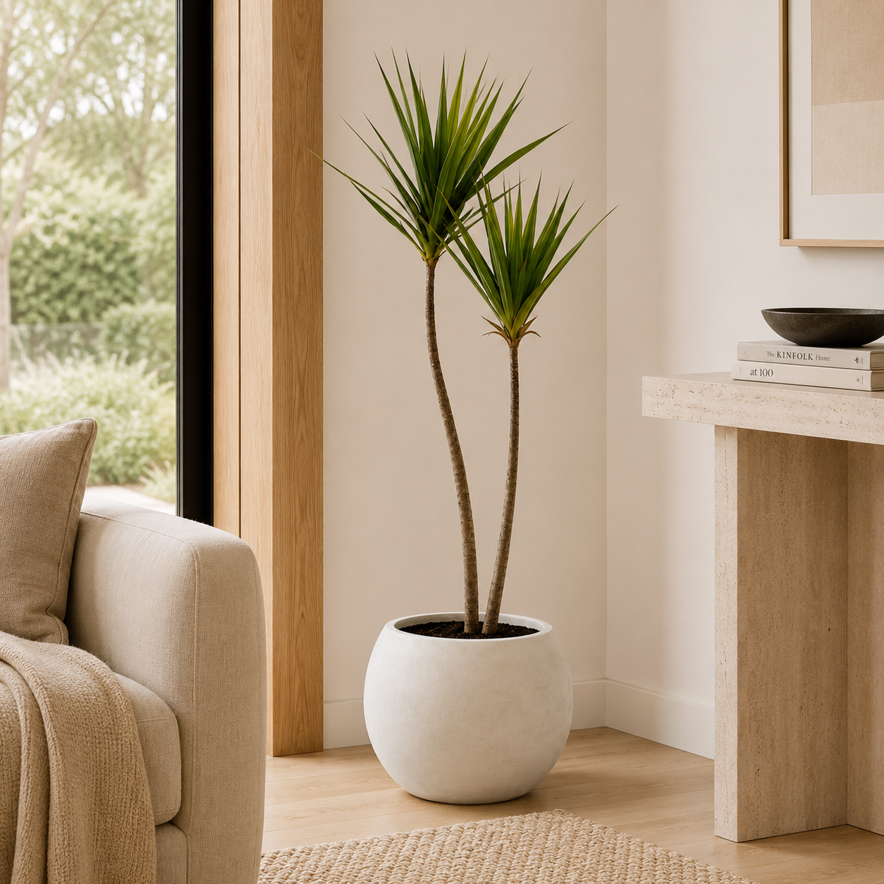 9' Pandanus Tree