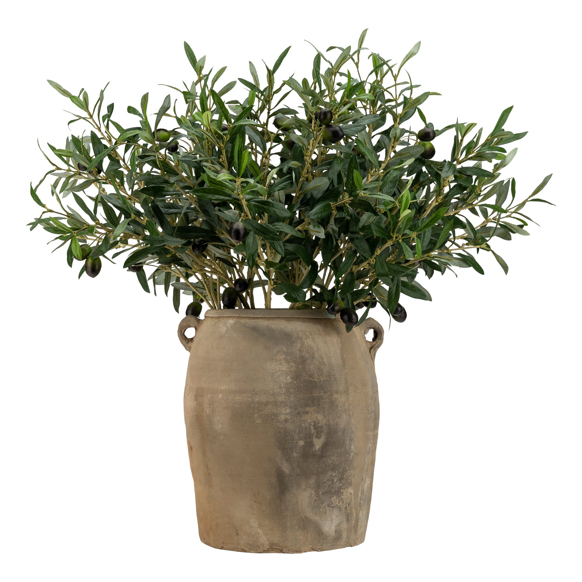 Olive Stem Arrangement in Vintage Clay Pot